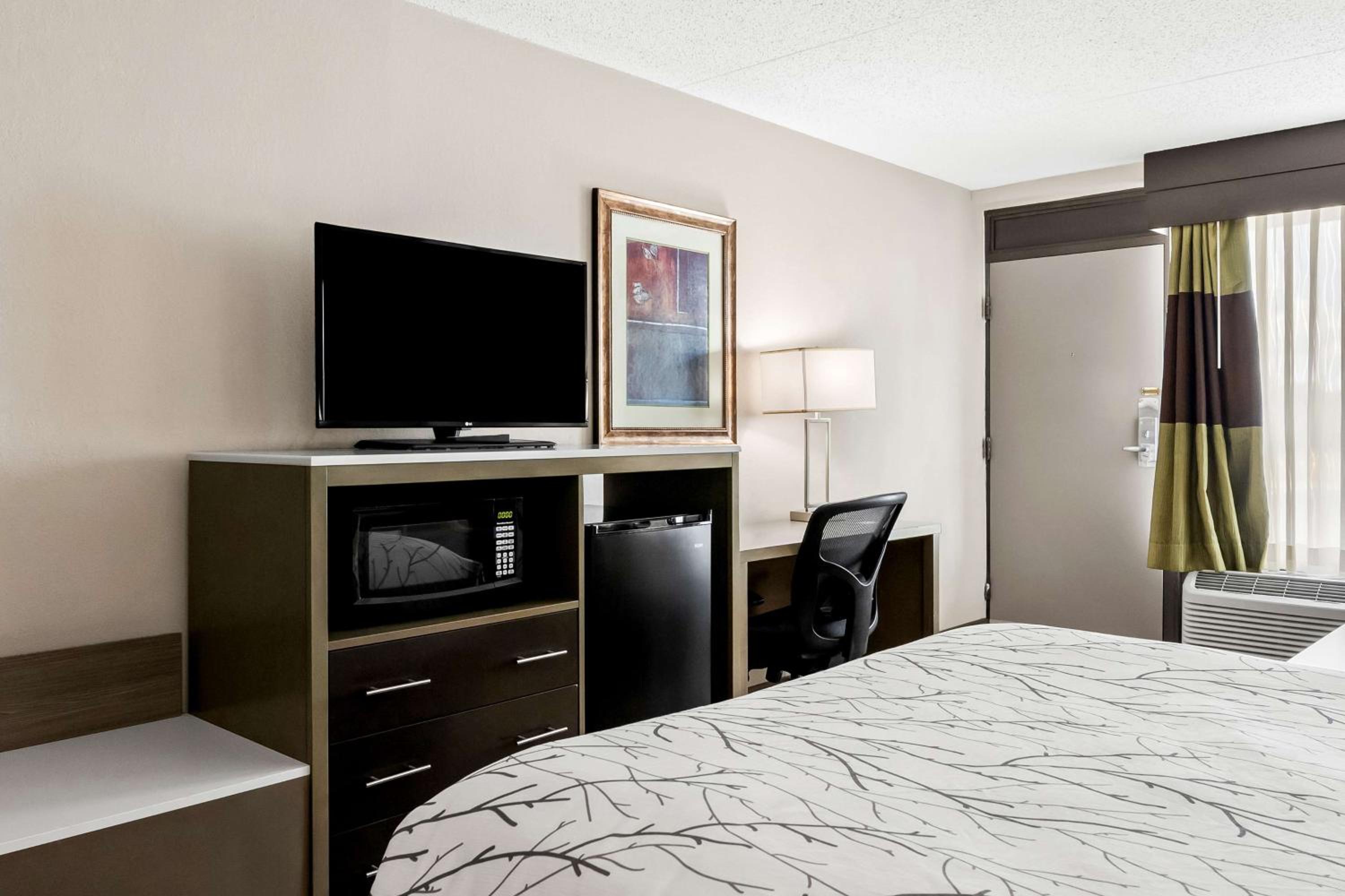 Queen Room - Disability Access photo 3