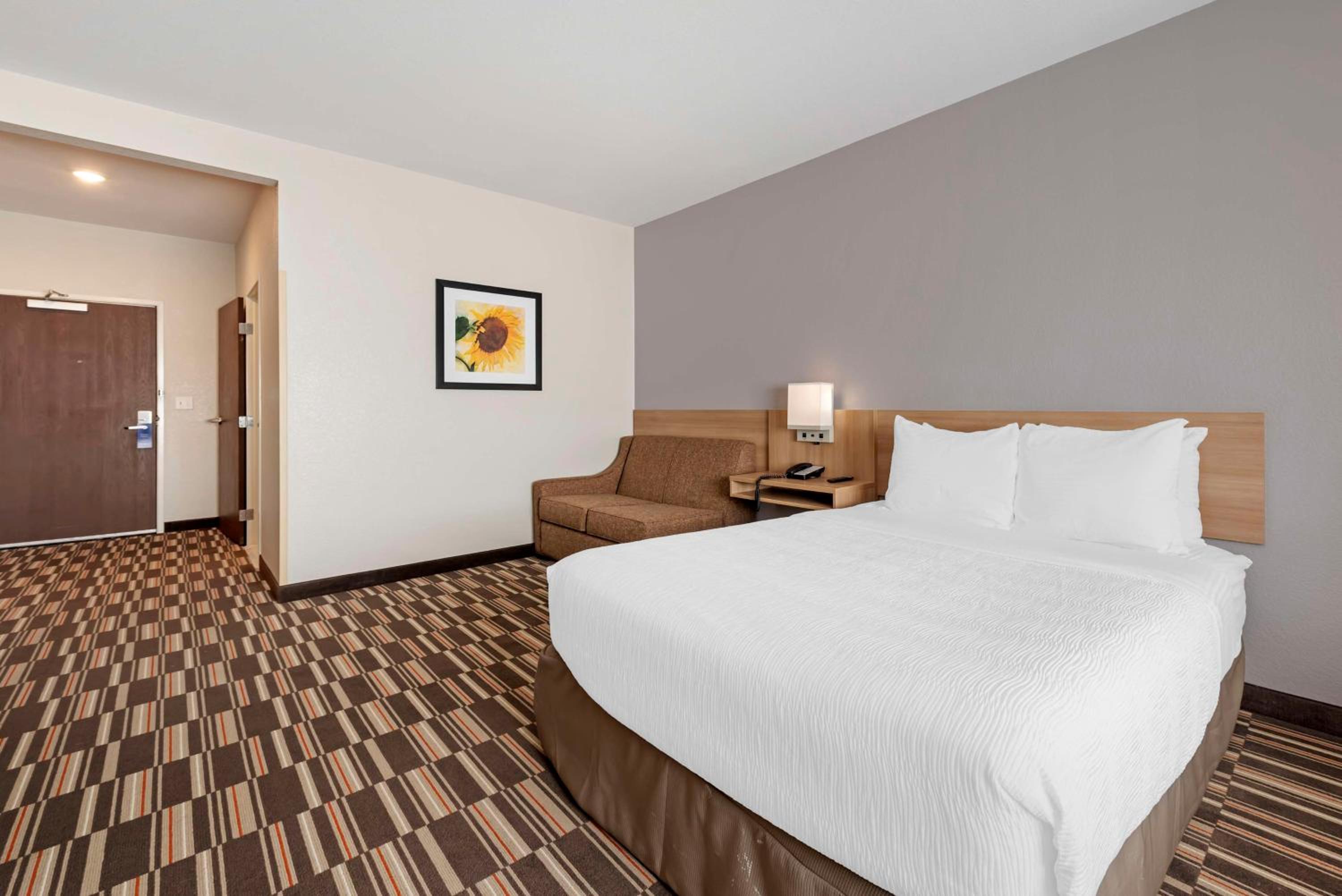 Queen Room with Sofa Bed and Roll-In Shower - Disability Access photo 1