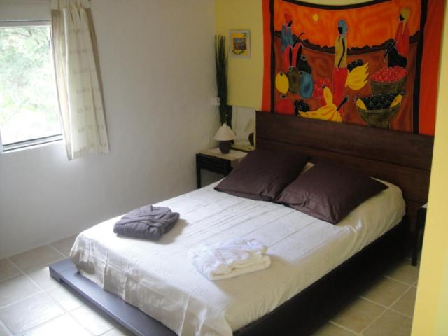 One-Bedroom House photo 1