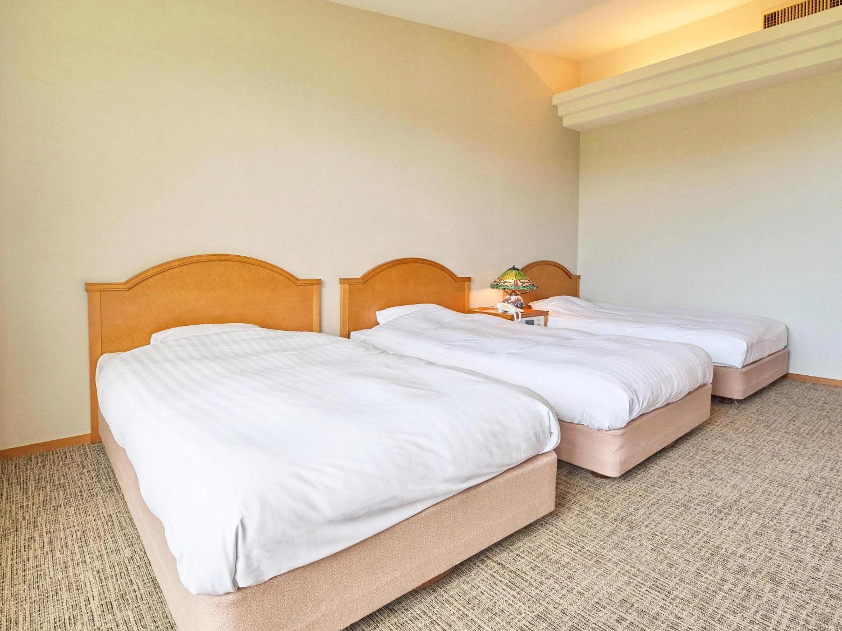 Triple Room with Mountain View photo 3