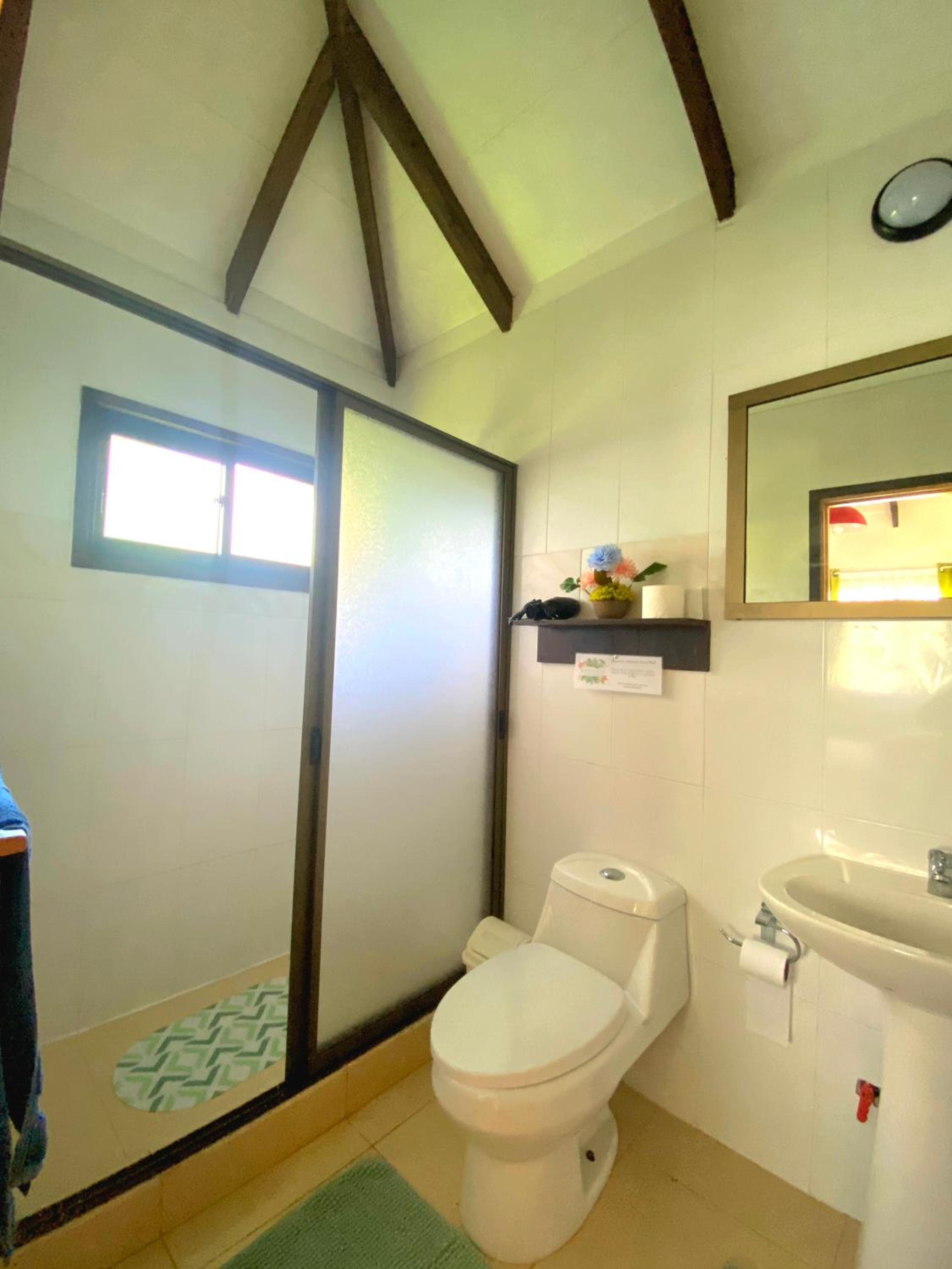 Deluxe Double or Twin Room photo 3