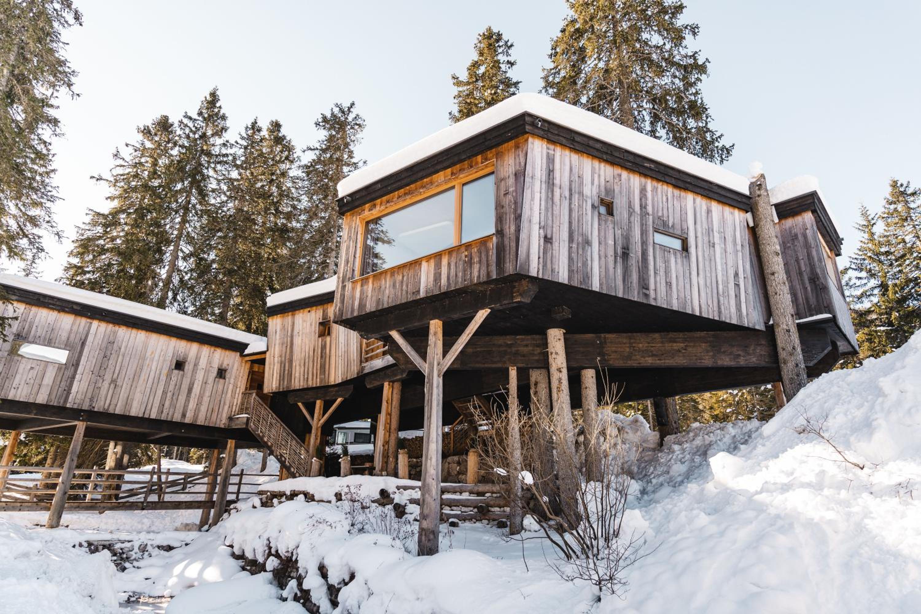 Luxury Tree House - Photo 8