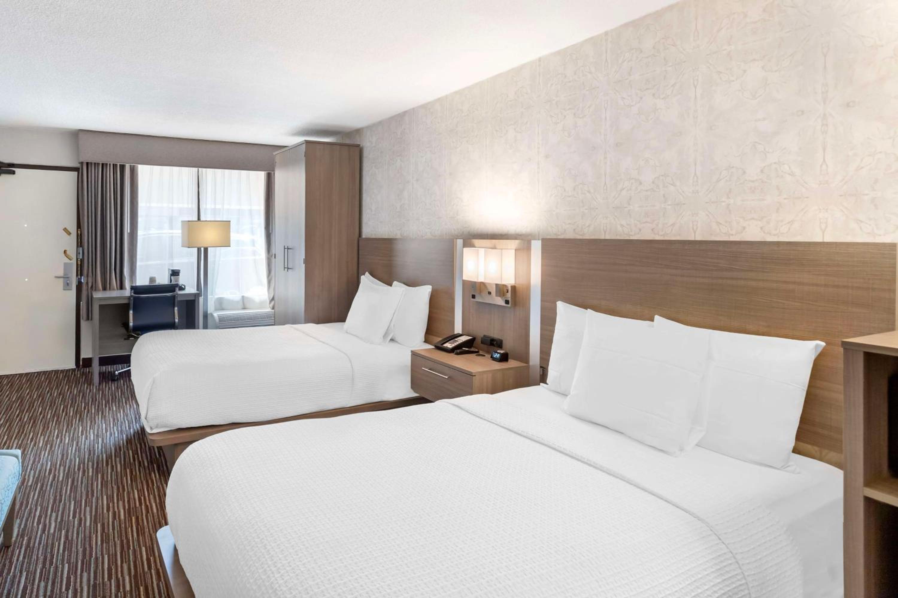 Double Room with Two Double Beds and Mobility Accessible Roll-In Shower photo 3