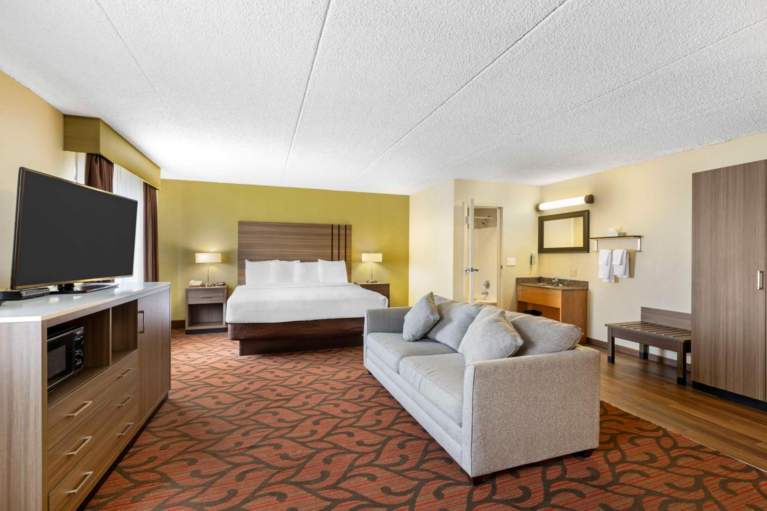 Large King Room - Non-Smoking - Photo 3