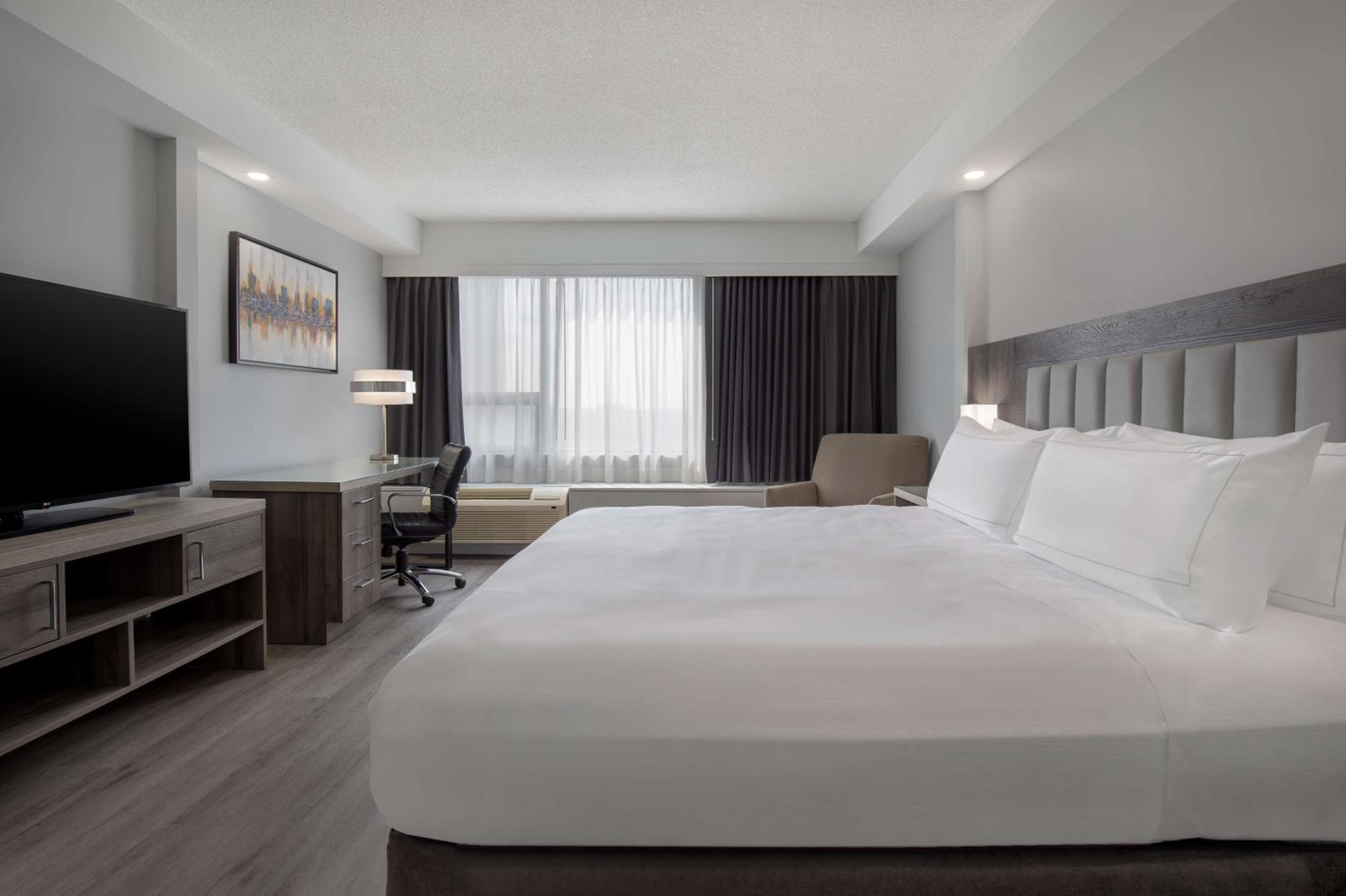 One-Bedroom King Suite