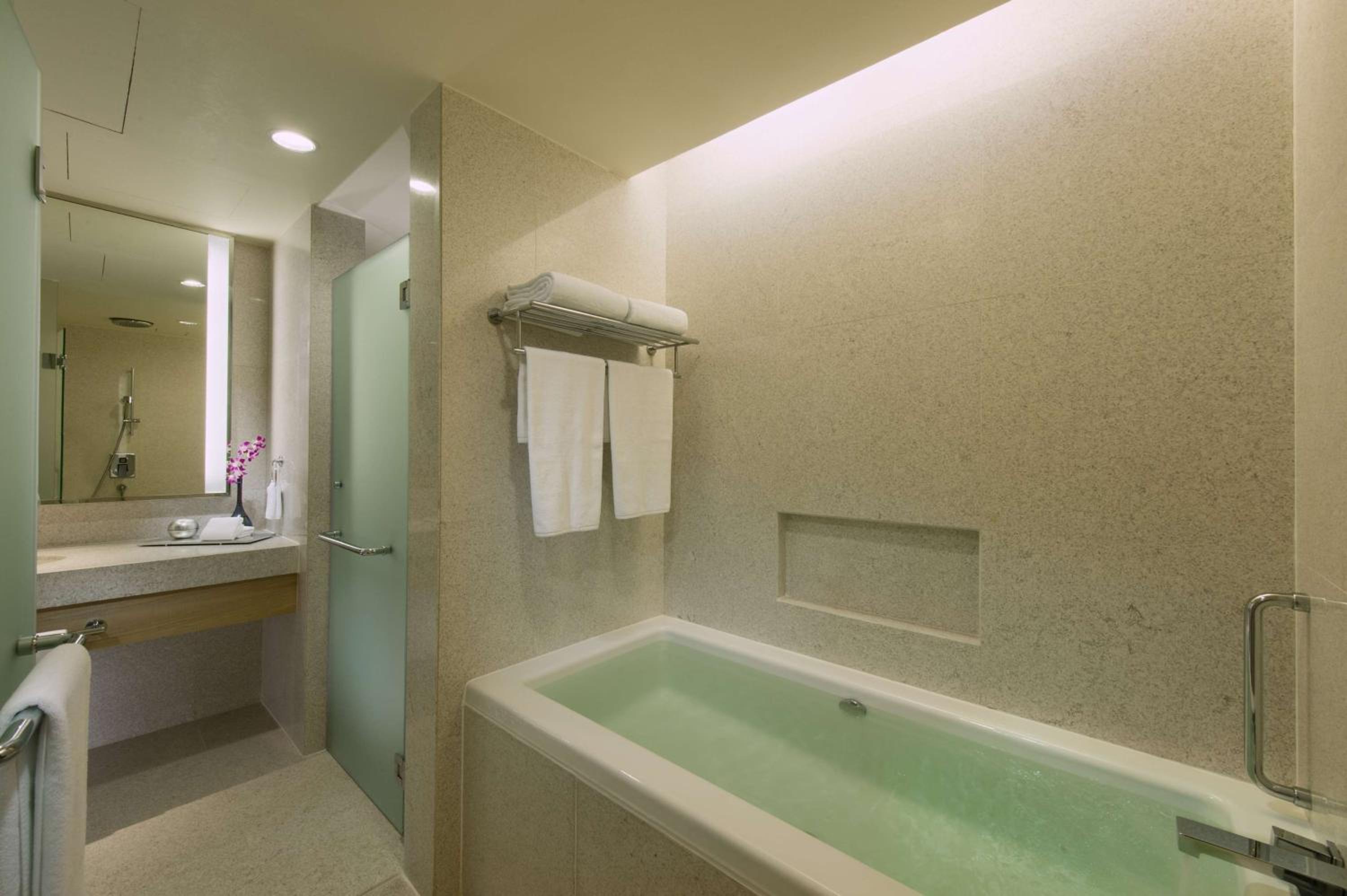 King Suite with Terrace and View