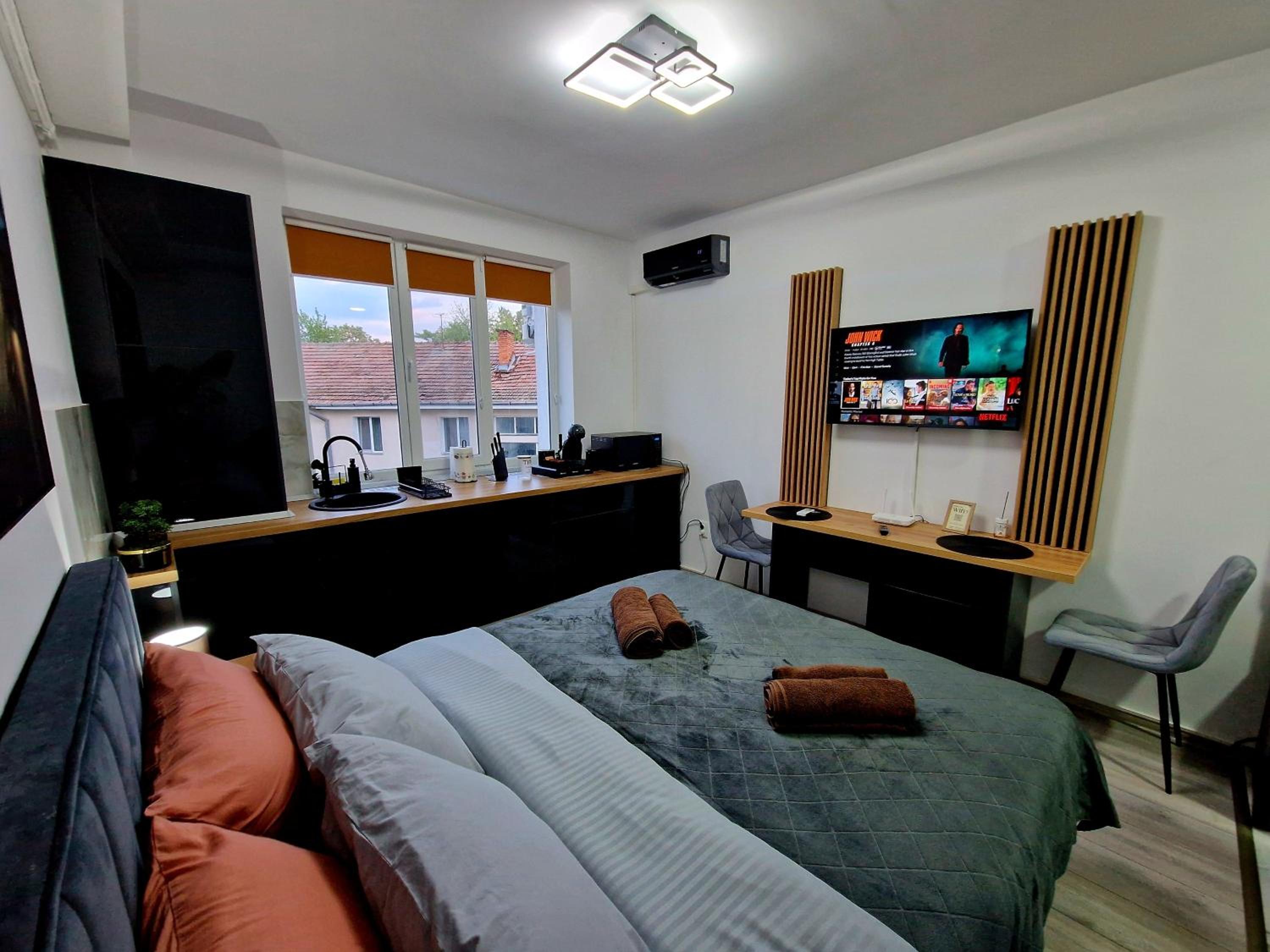 One-Bedroom Apartment photo 3