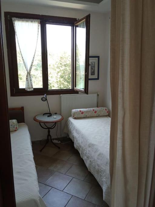 One-Bedroom House photo 2