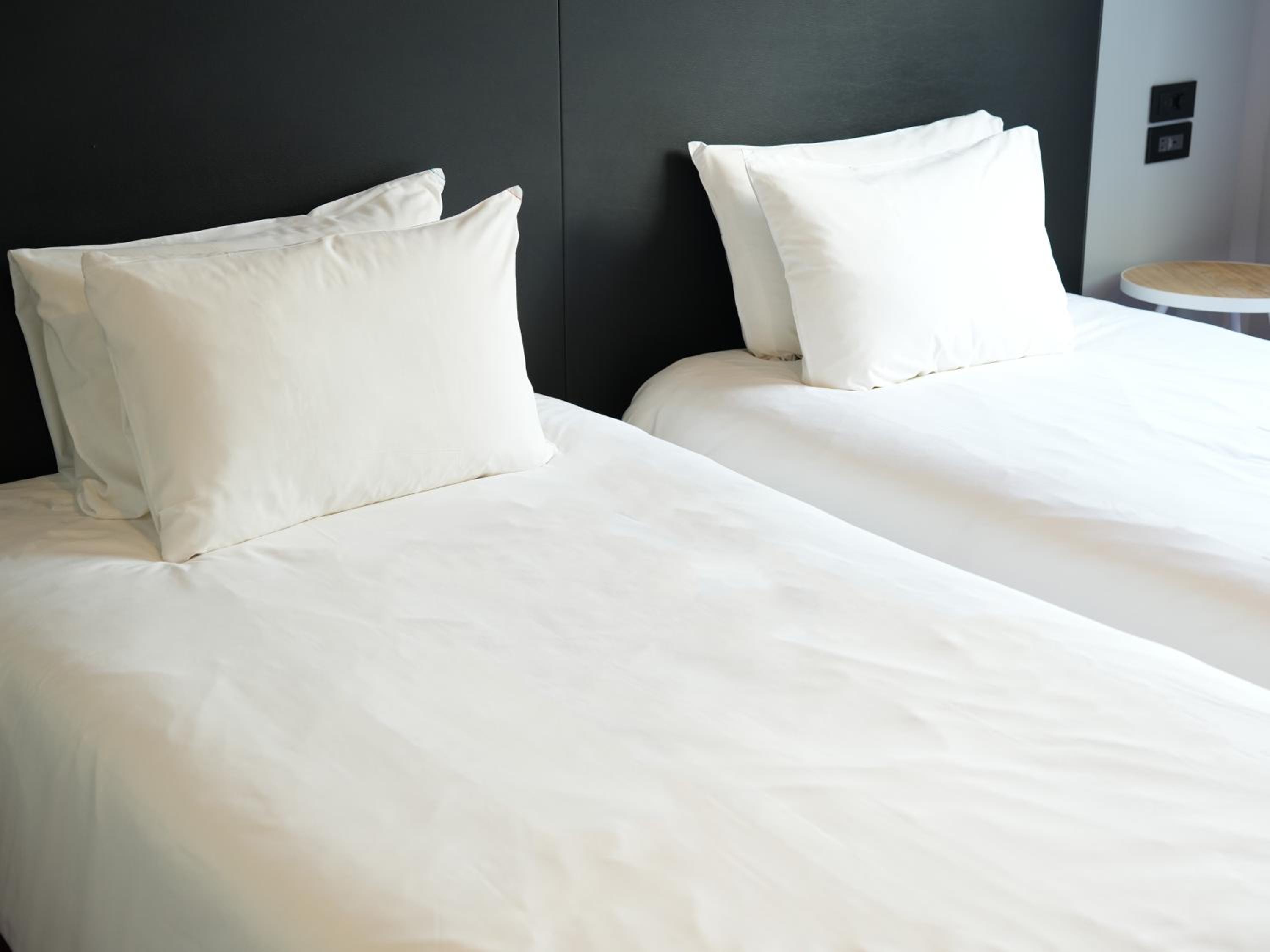 Standard Twin Room photo 2