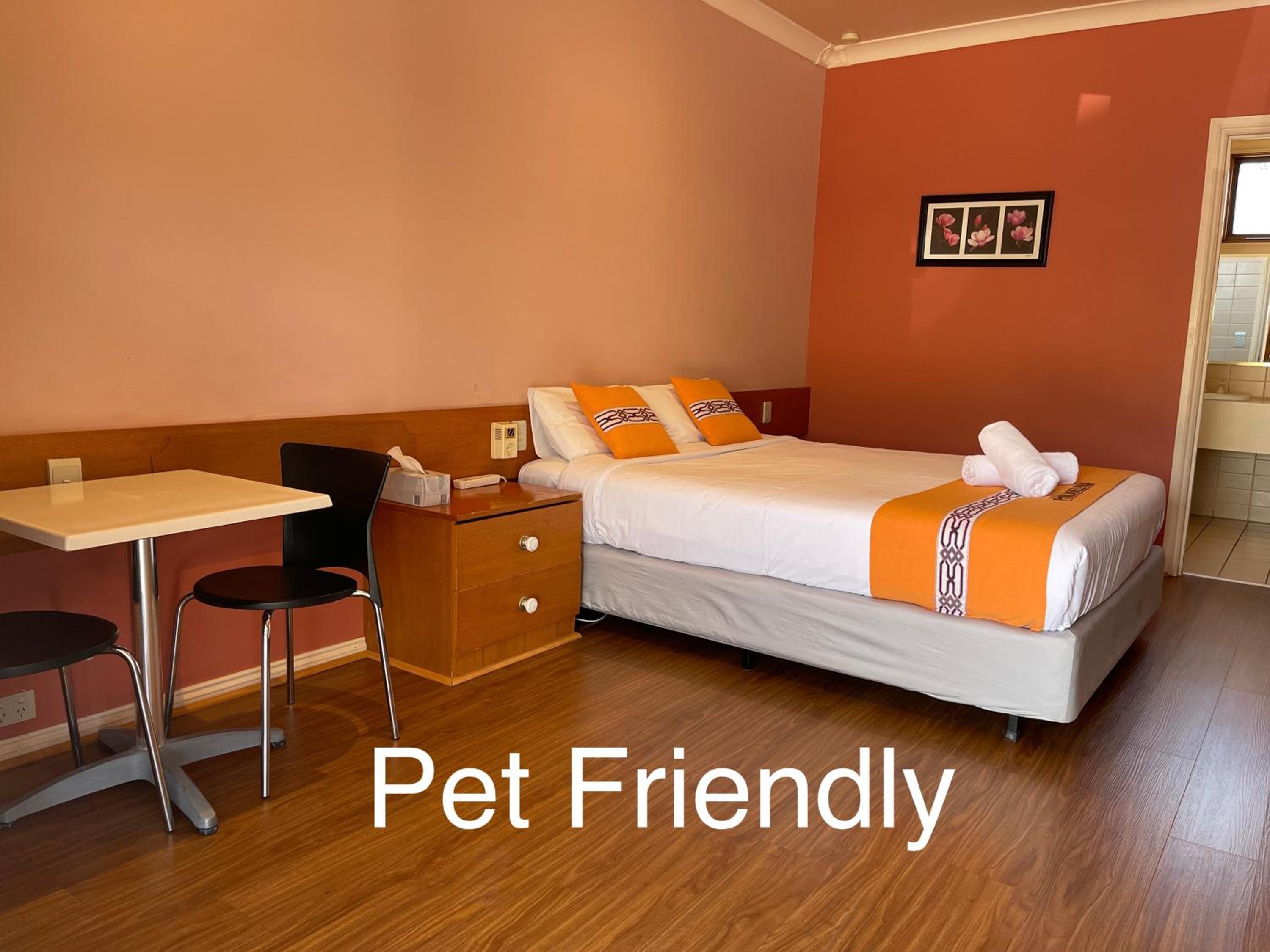 Standard Queen Room - Pet Friendly photo 1
