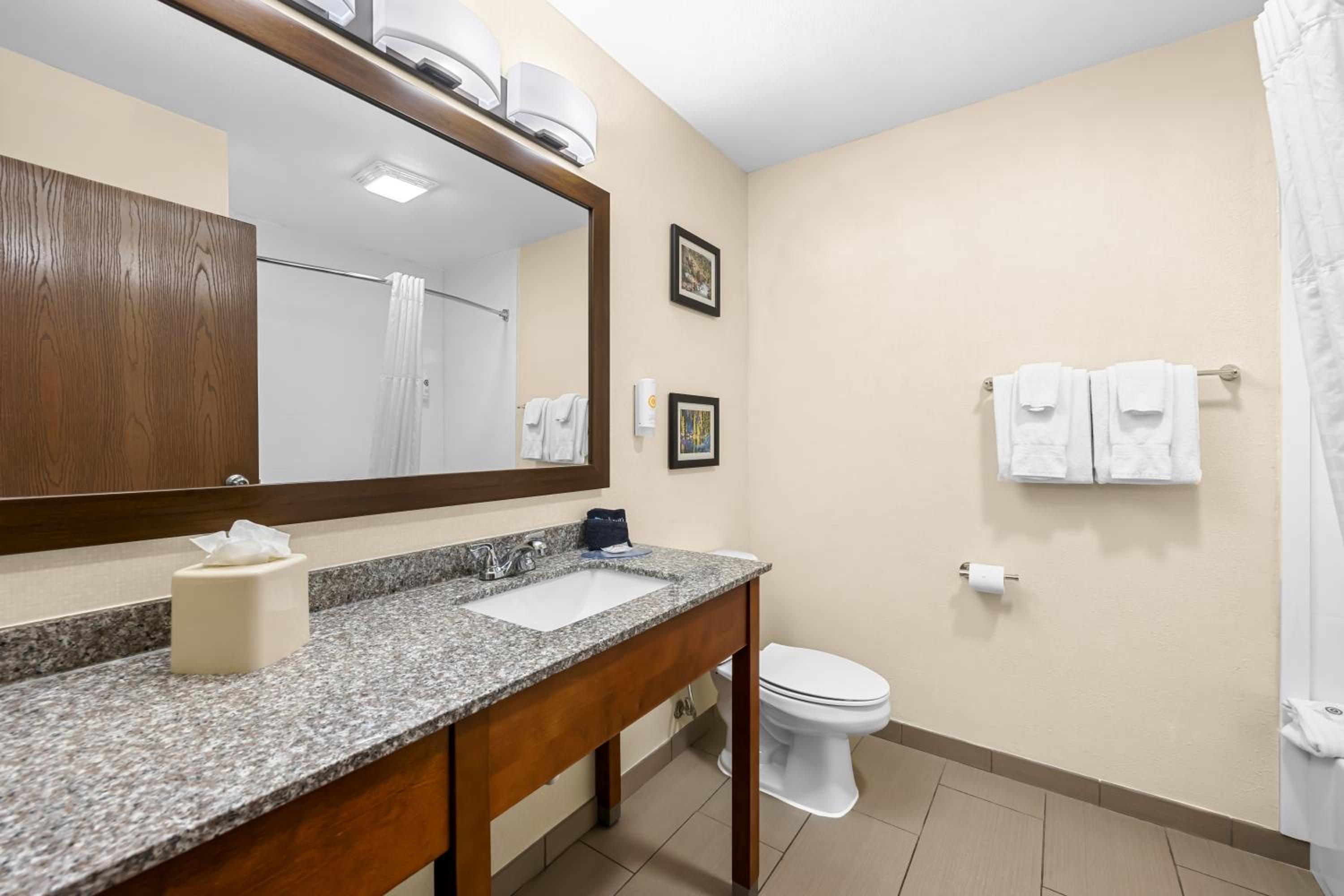 King Room - Non Smoking/Pet Friendly - Photo 3