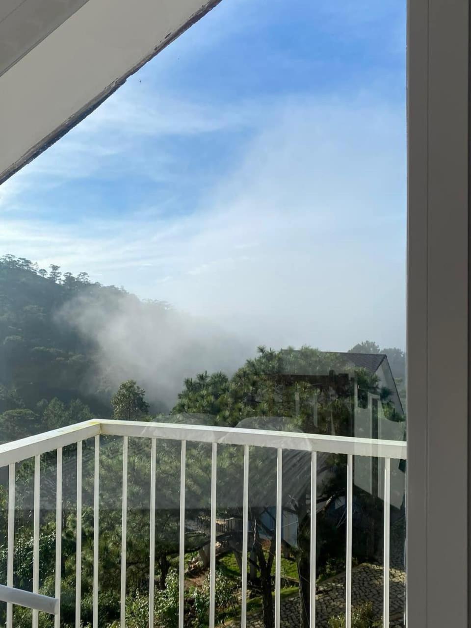 Standard Villa photo 2
