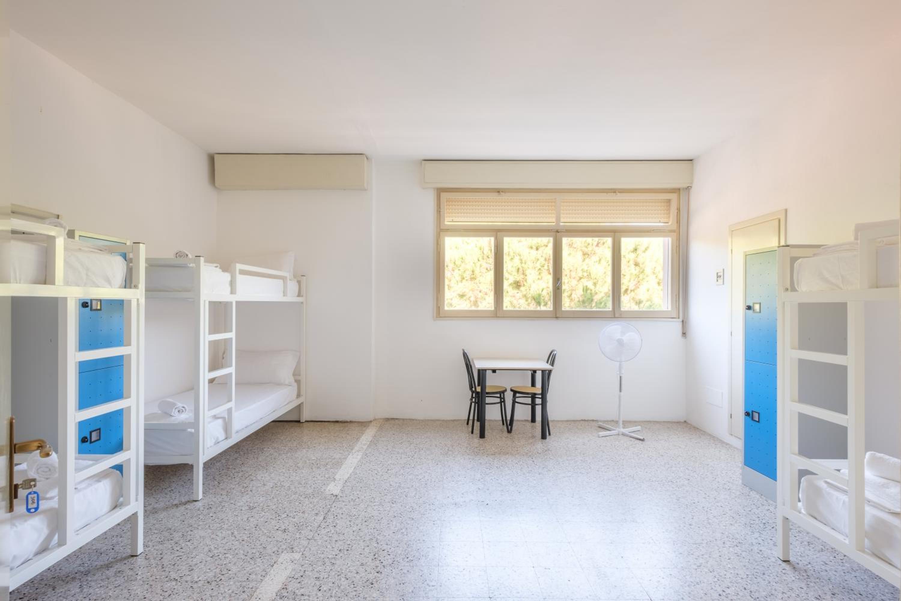 Bed in 6-Bed Mixed Dormitory Room photo 1