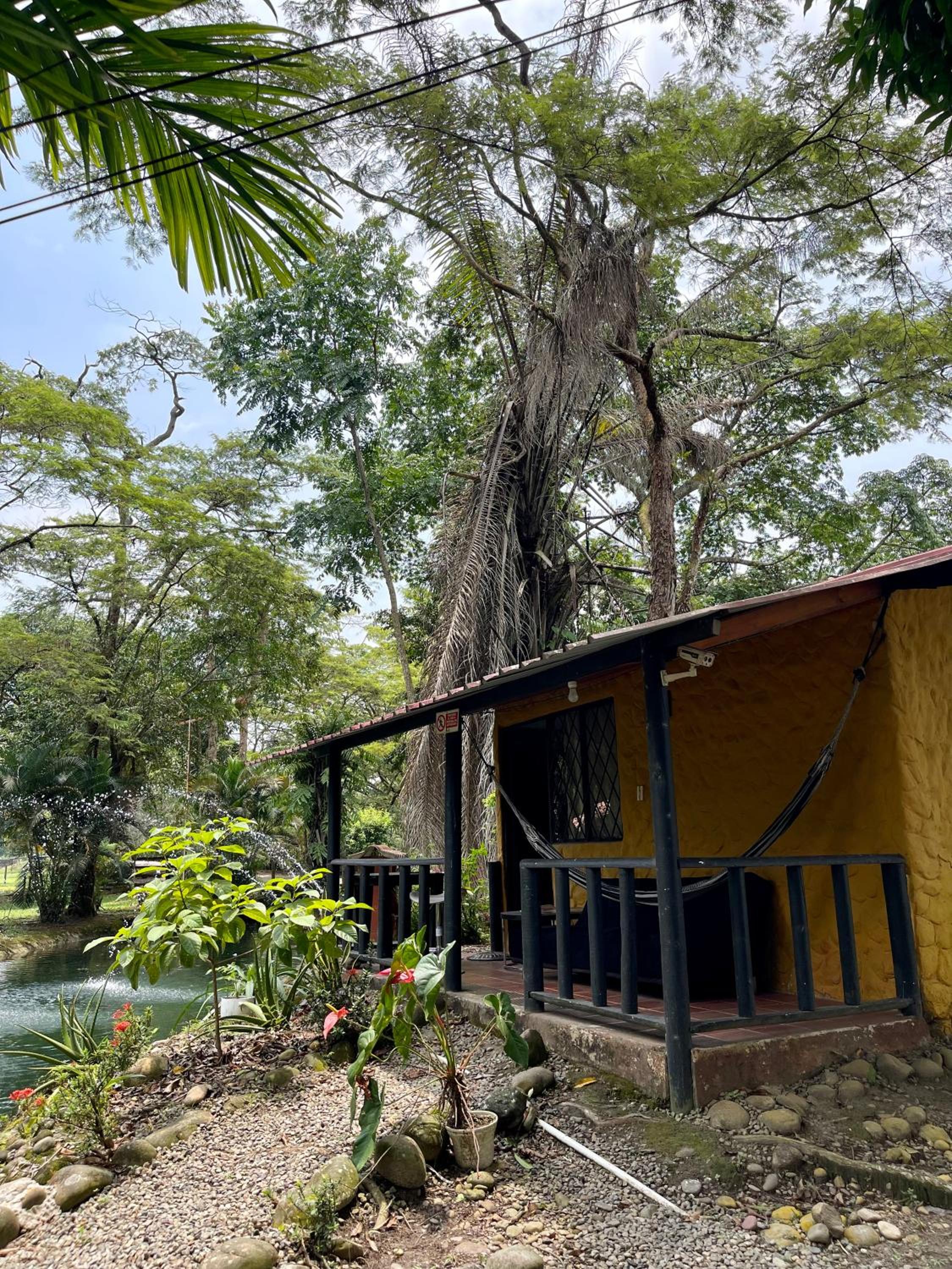 Double Room With Lake View photo 2
