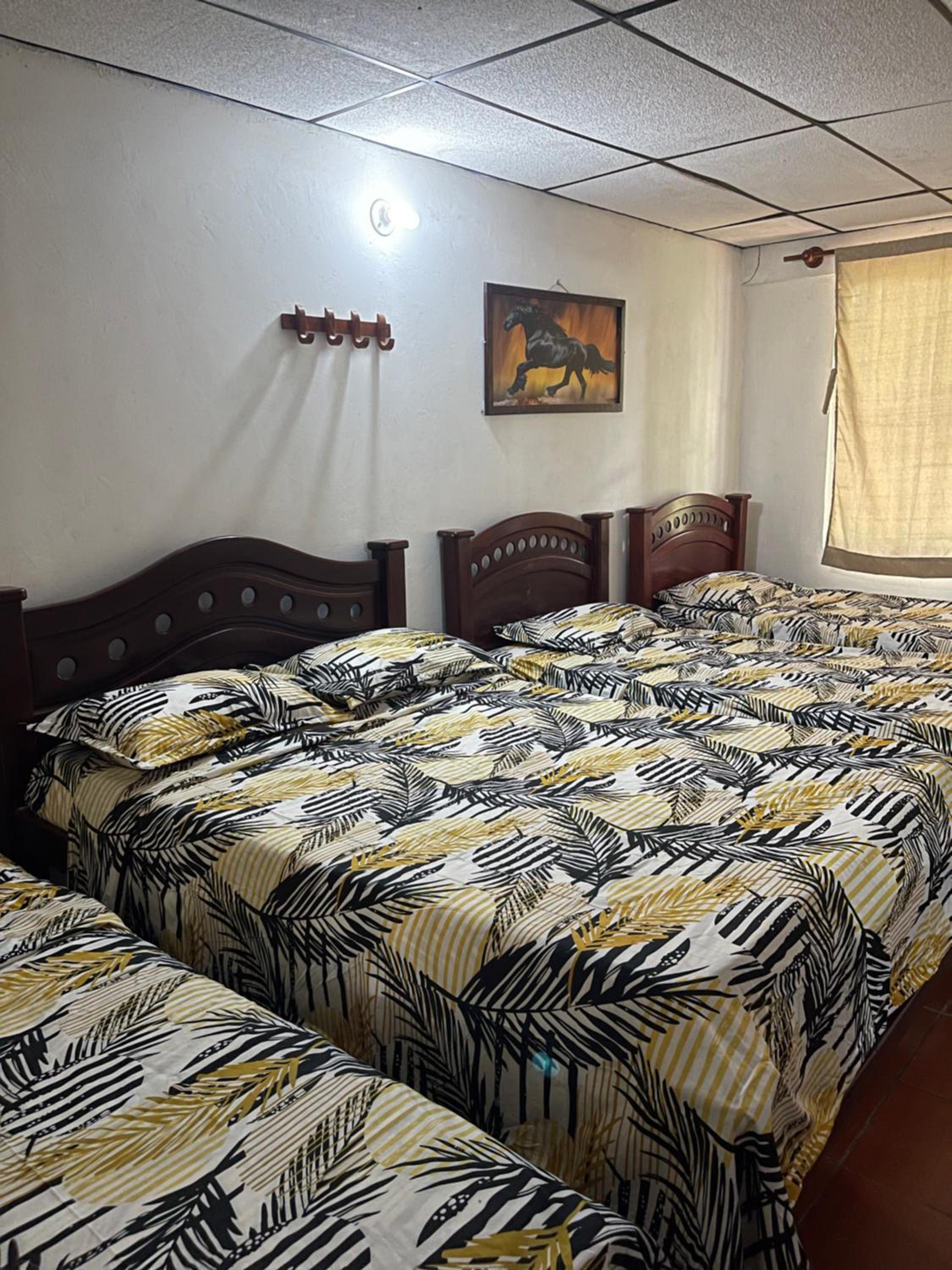 Budget Double Room photo 1