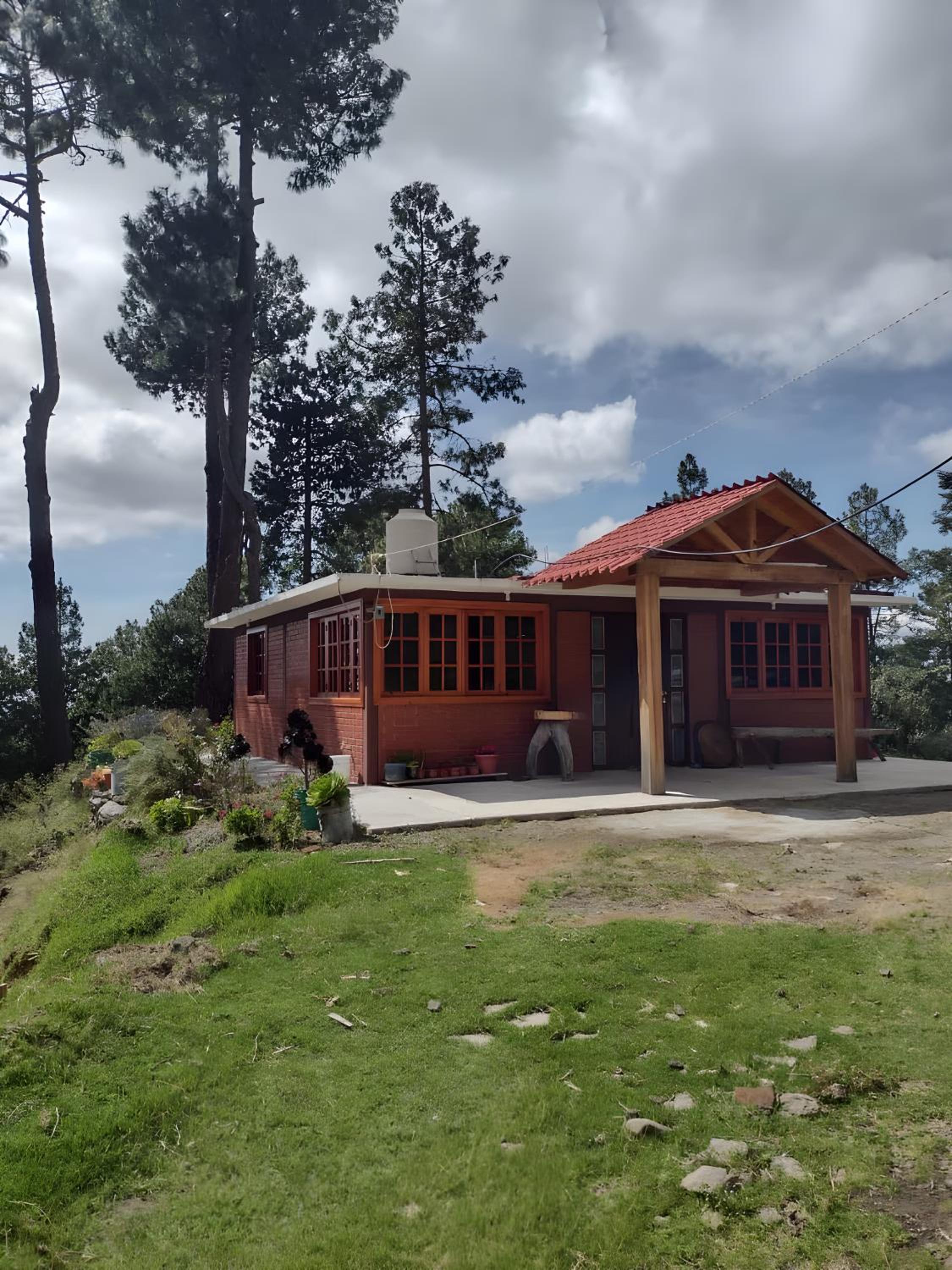 Family Bungalow photo 2