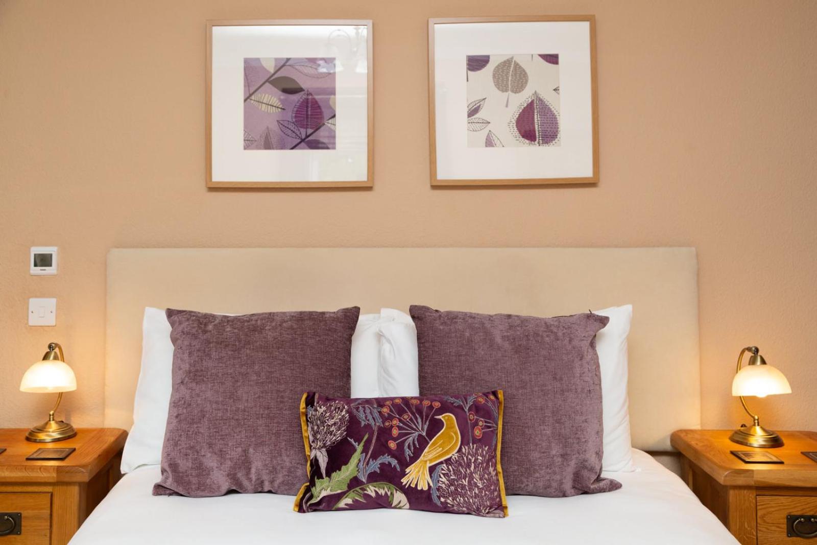 Superior King Room - Photo 1