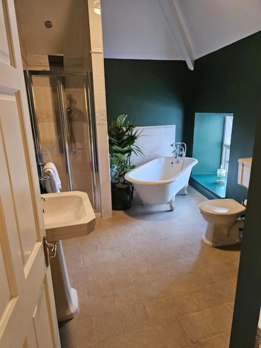 Three-Bedroom House photo 3