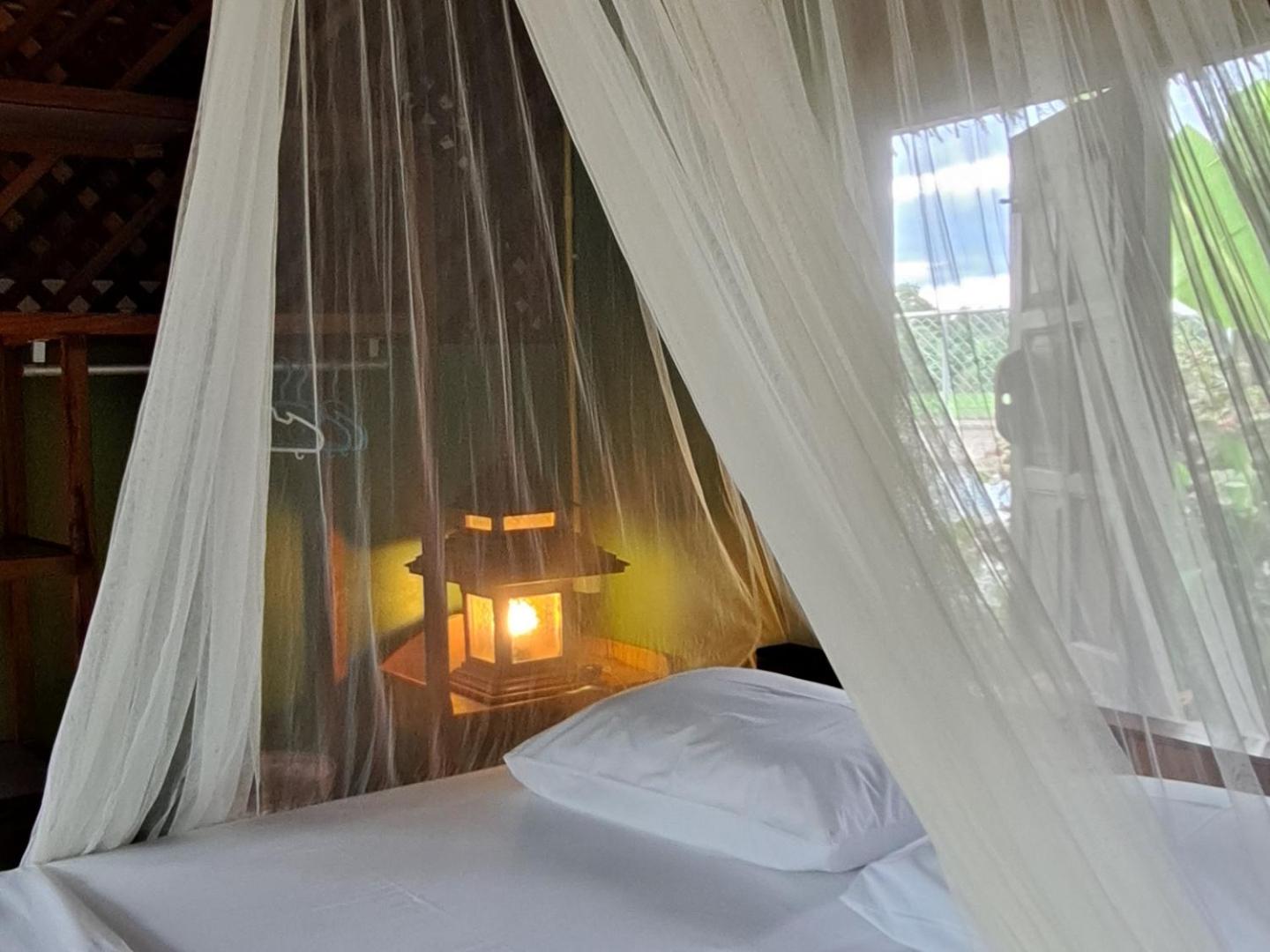 King Room with Garden View - Photo 8