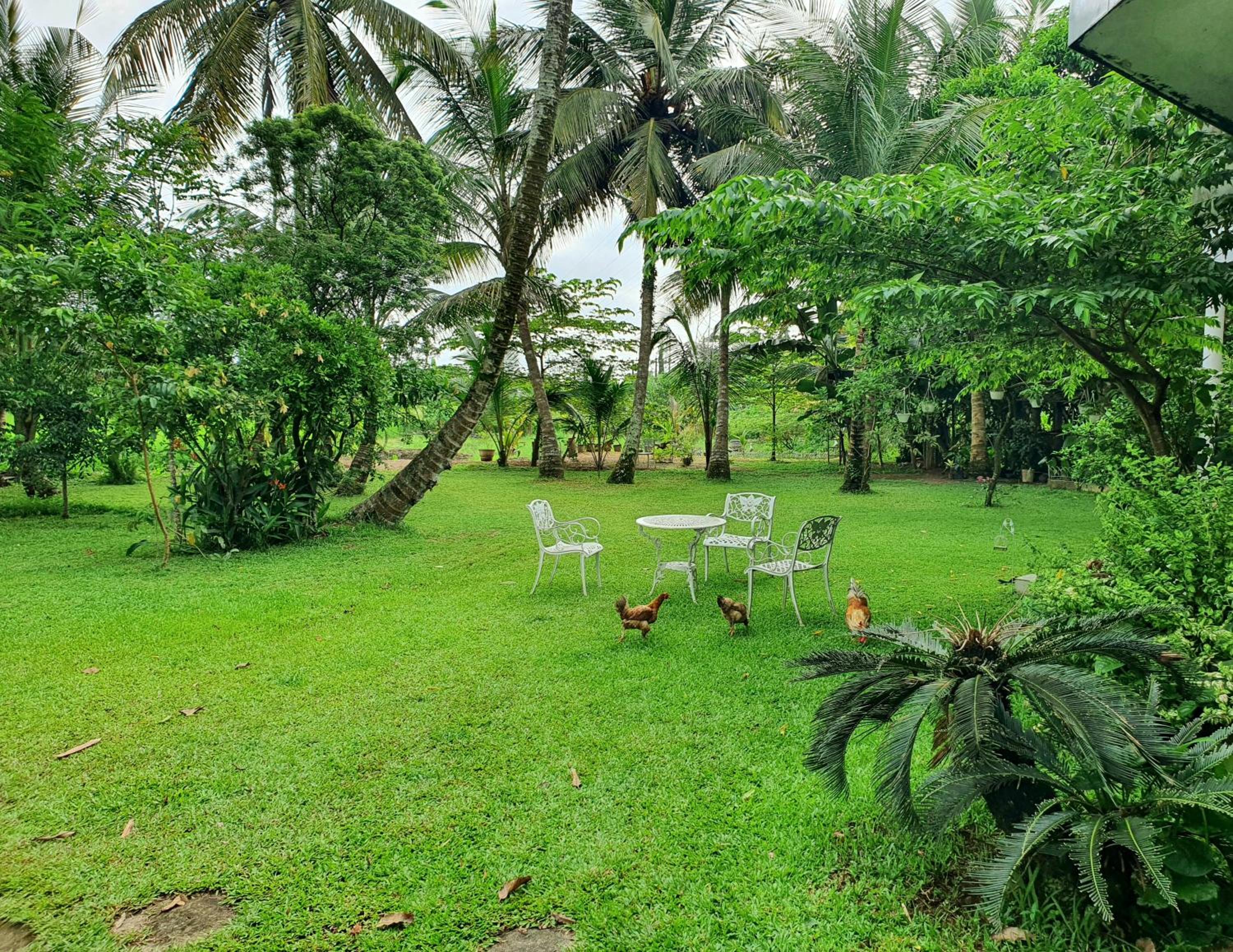 Three-Bedroom Villa photo 2