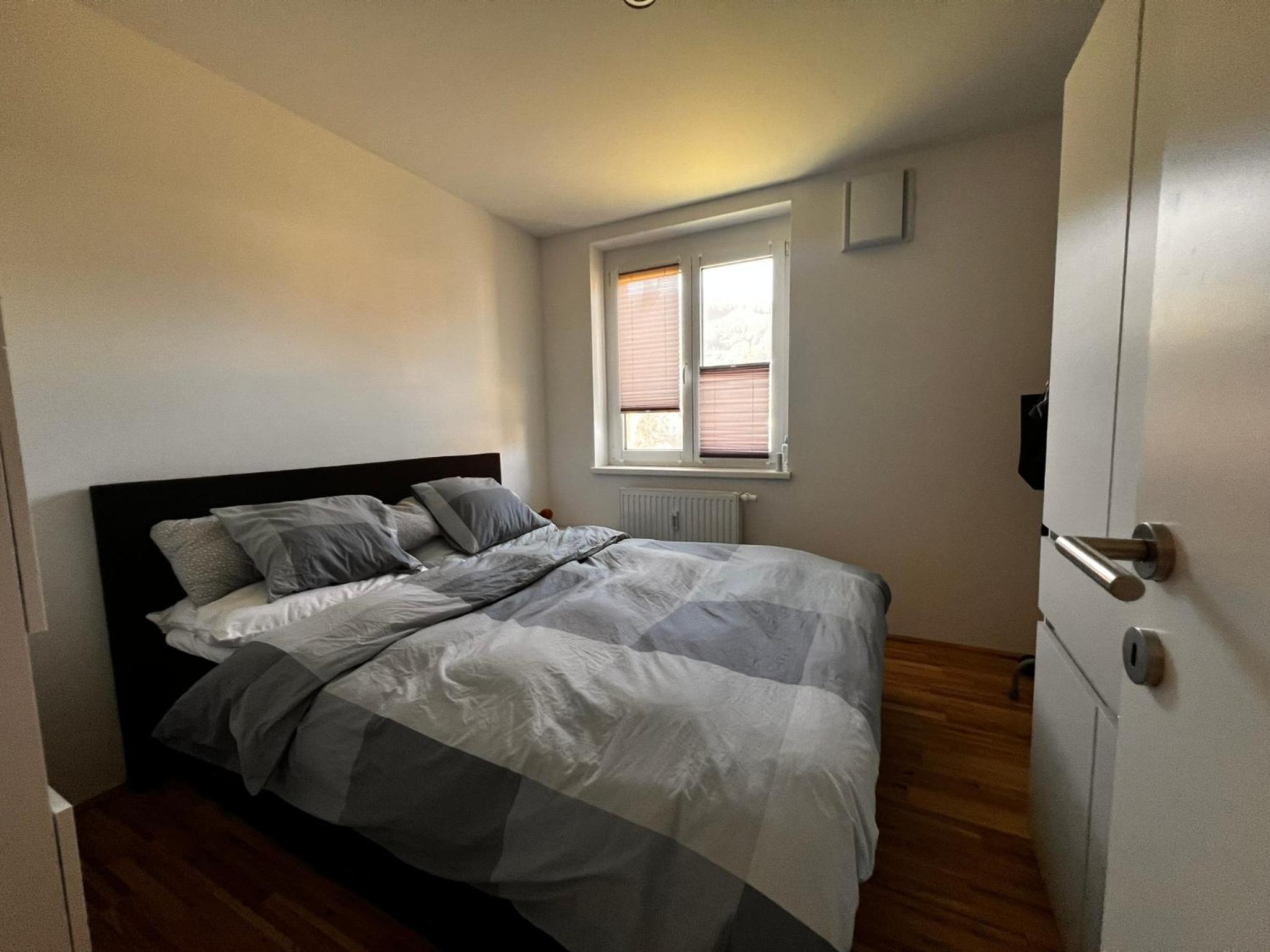 One-Bedroom Apartment photo 3