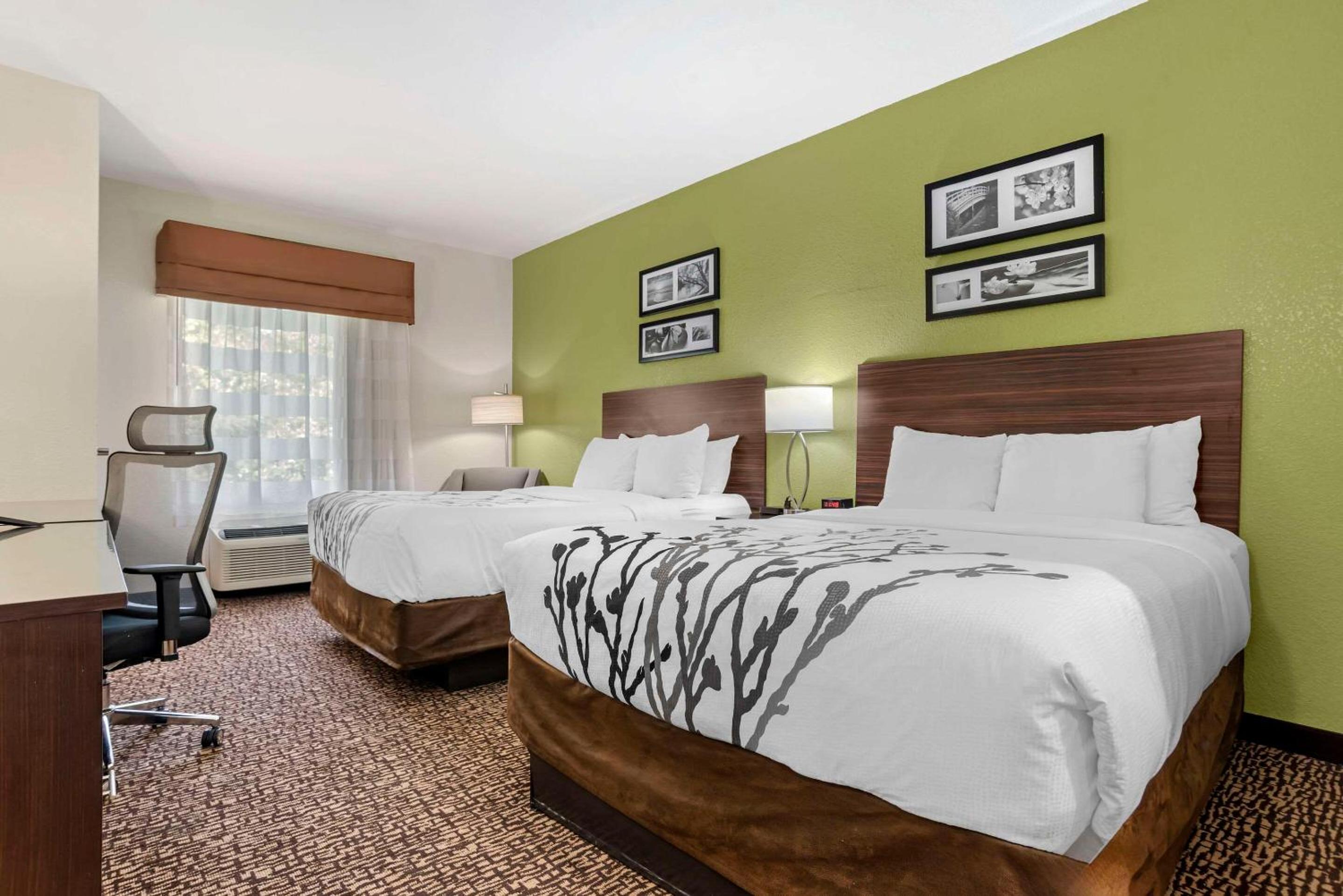 Queen Room with Two Queen Beds - Non-Smoking - Photo 4