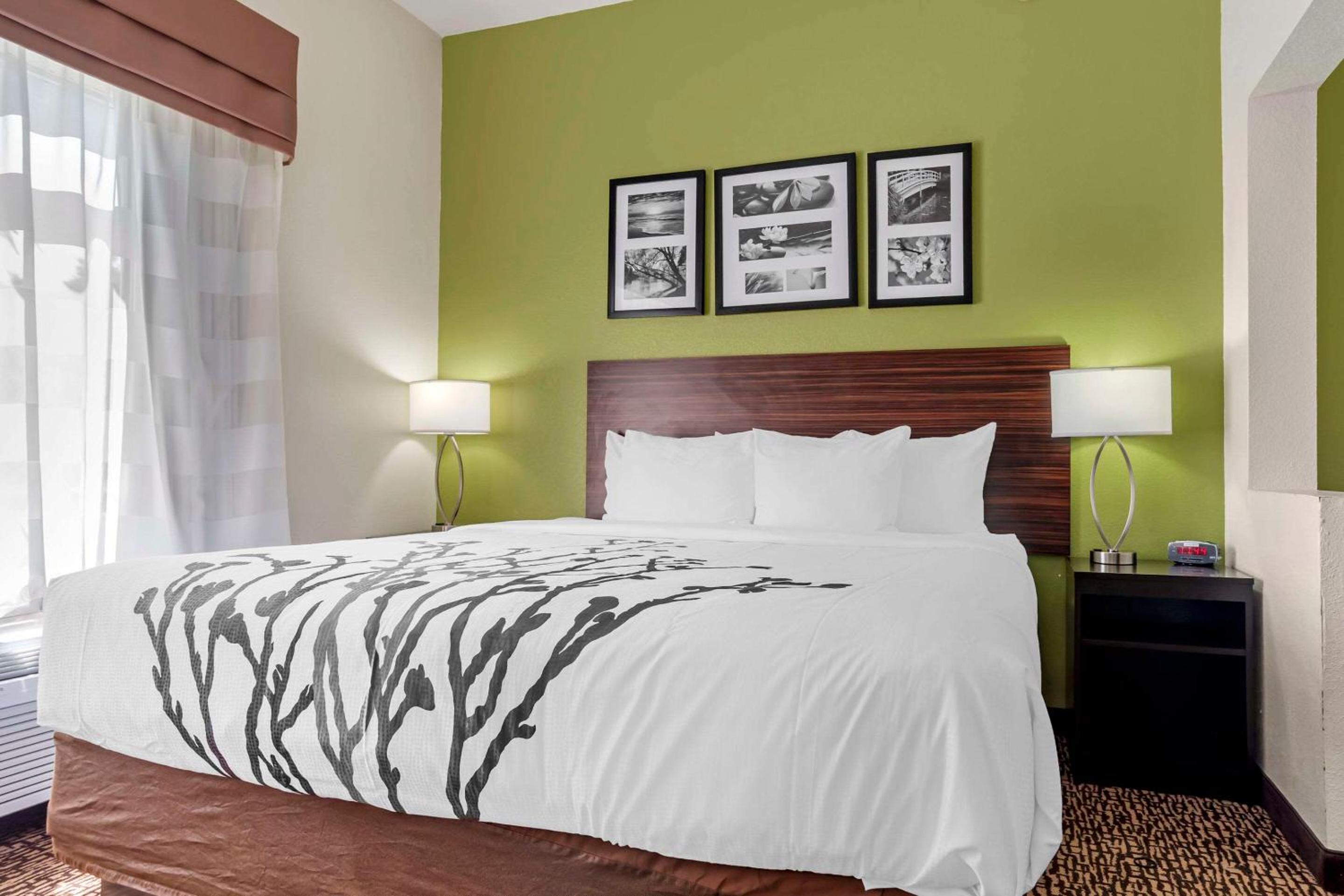King Room - Non-Smoking - Photo 1