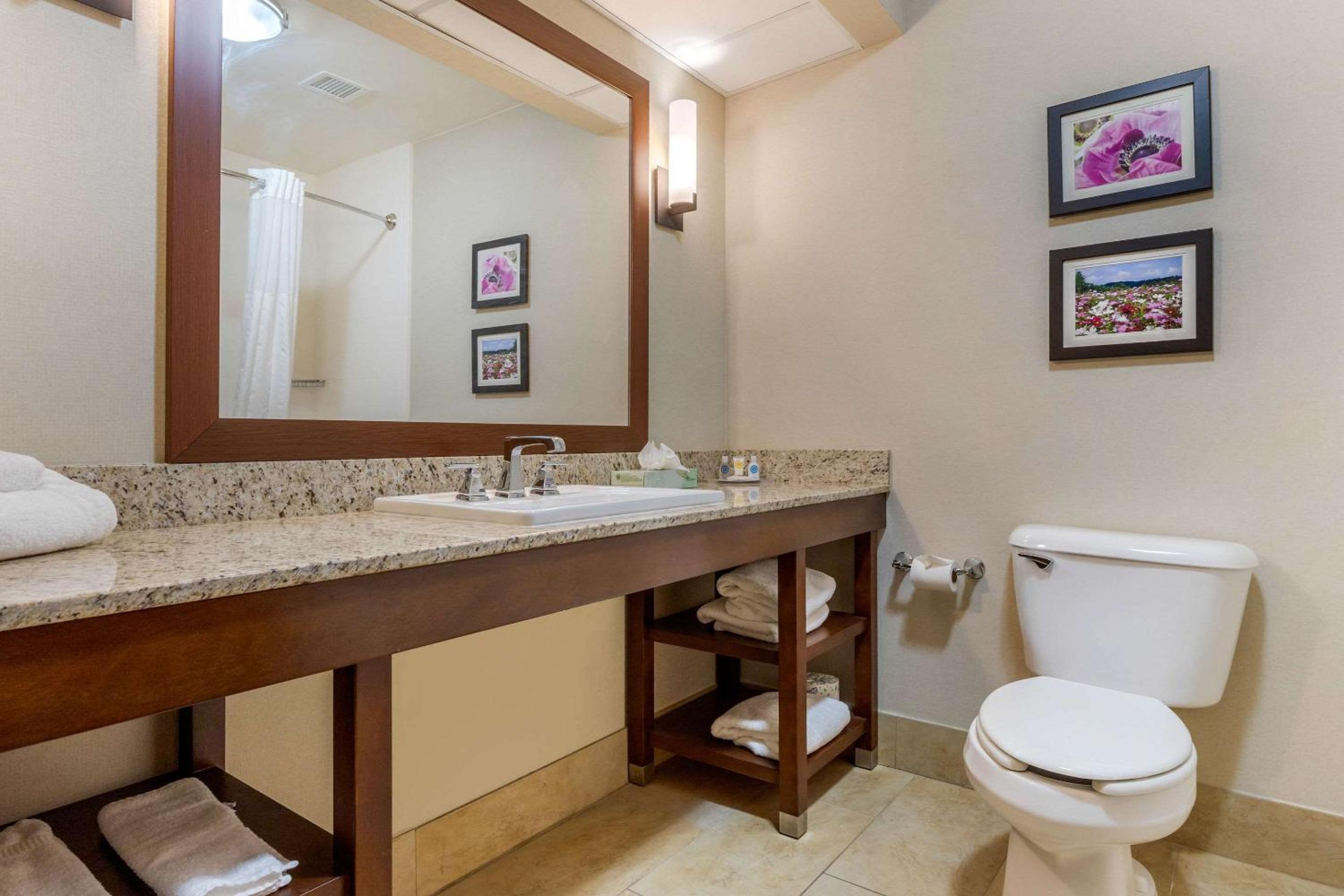 King Suite - Disability Access/Non-Smoking - Photo 3