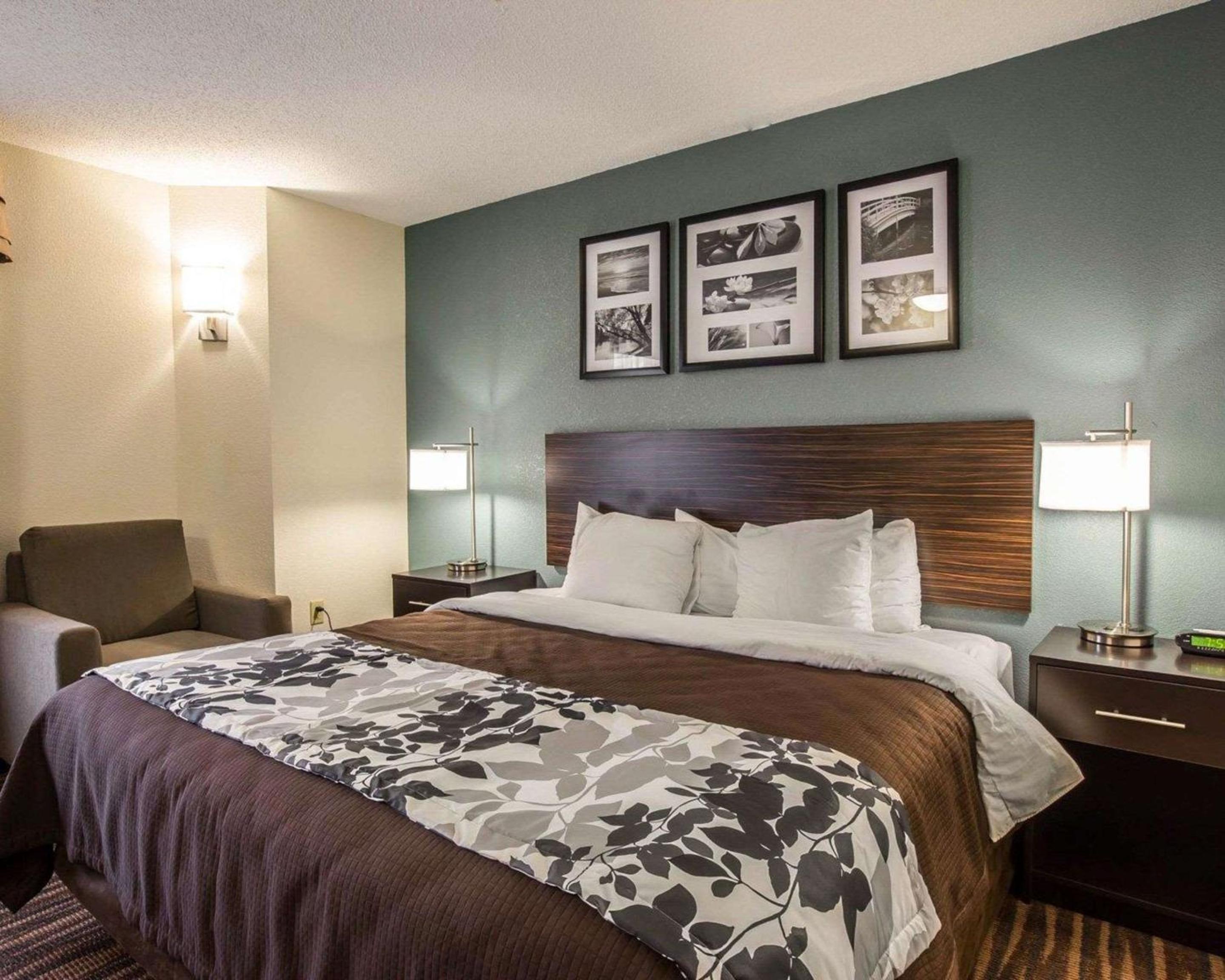 King Room - Non-Smoking - Photo 6