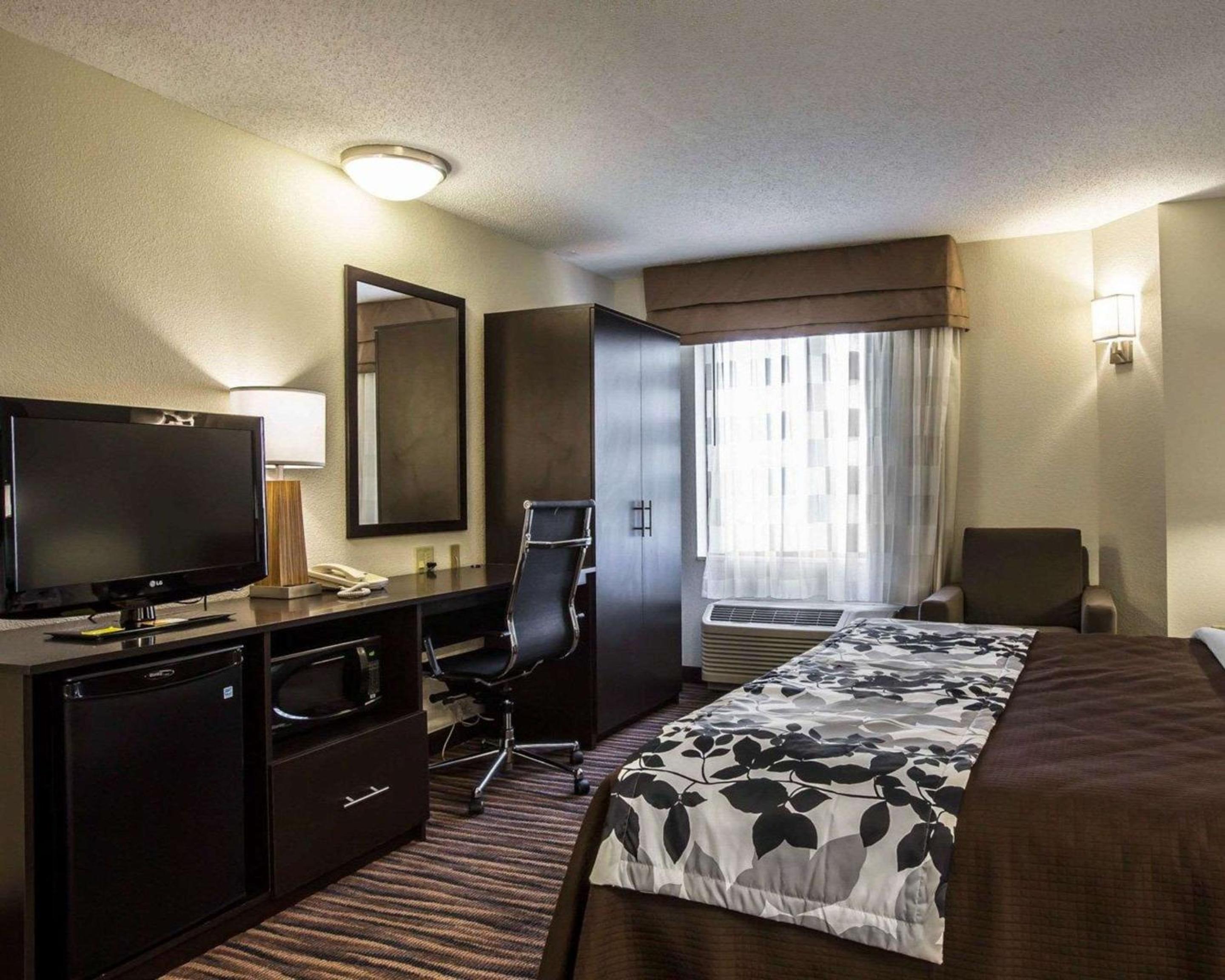King Room - Non-Smoking - Photo 3