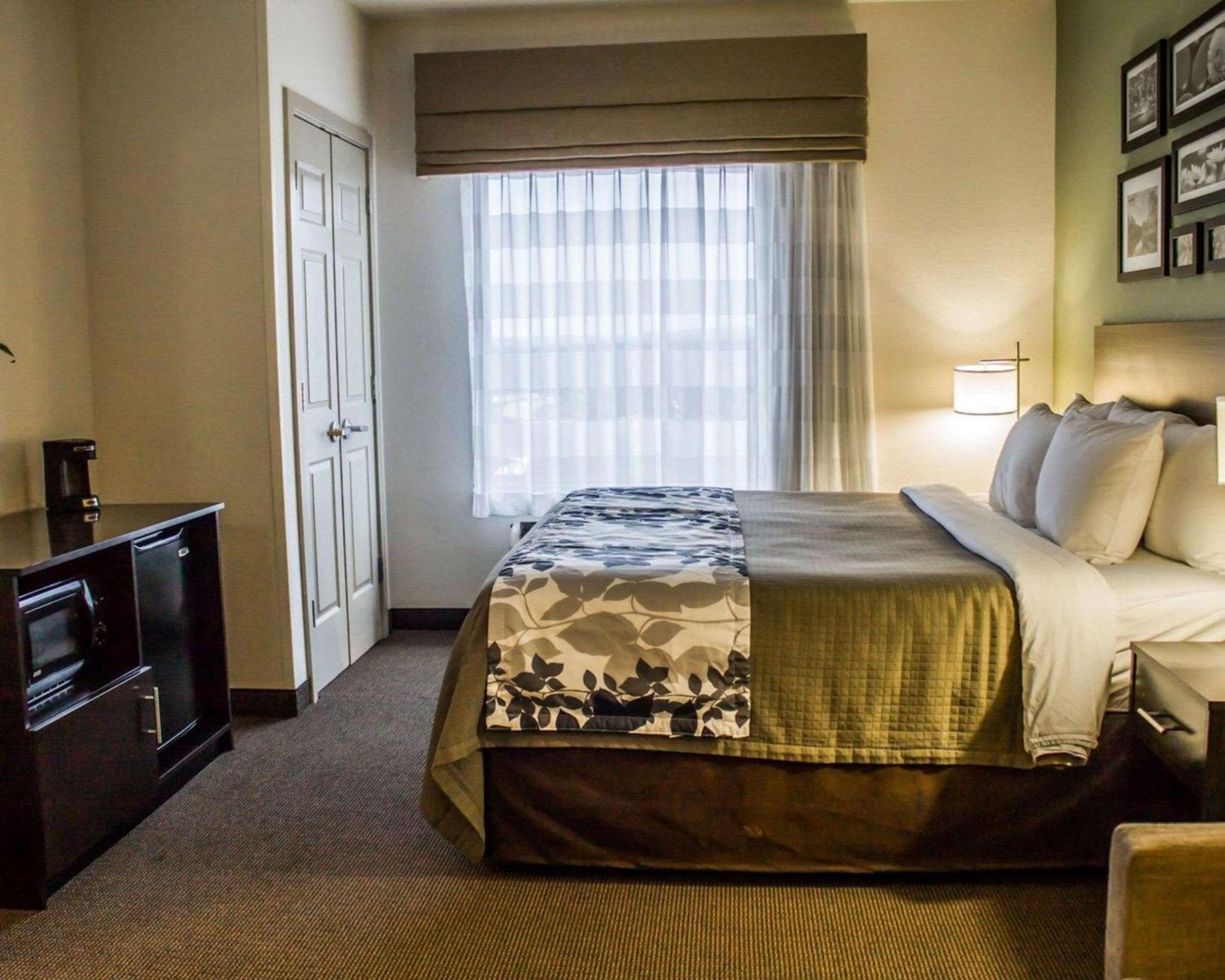 King Suite - Non-Smoking photo 1