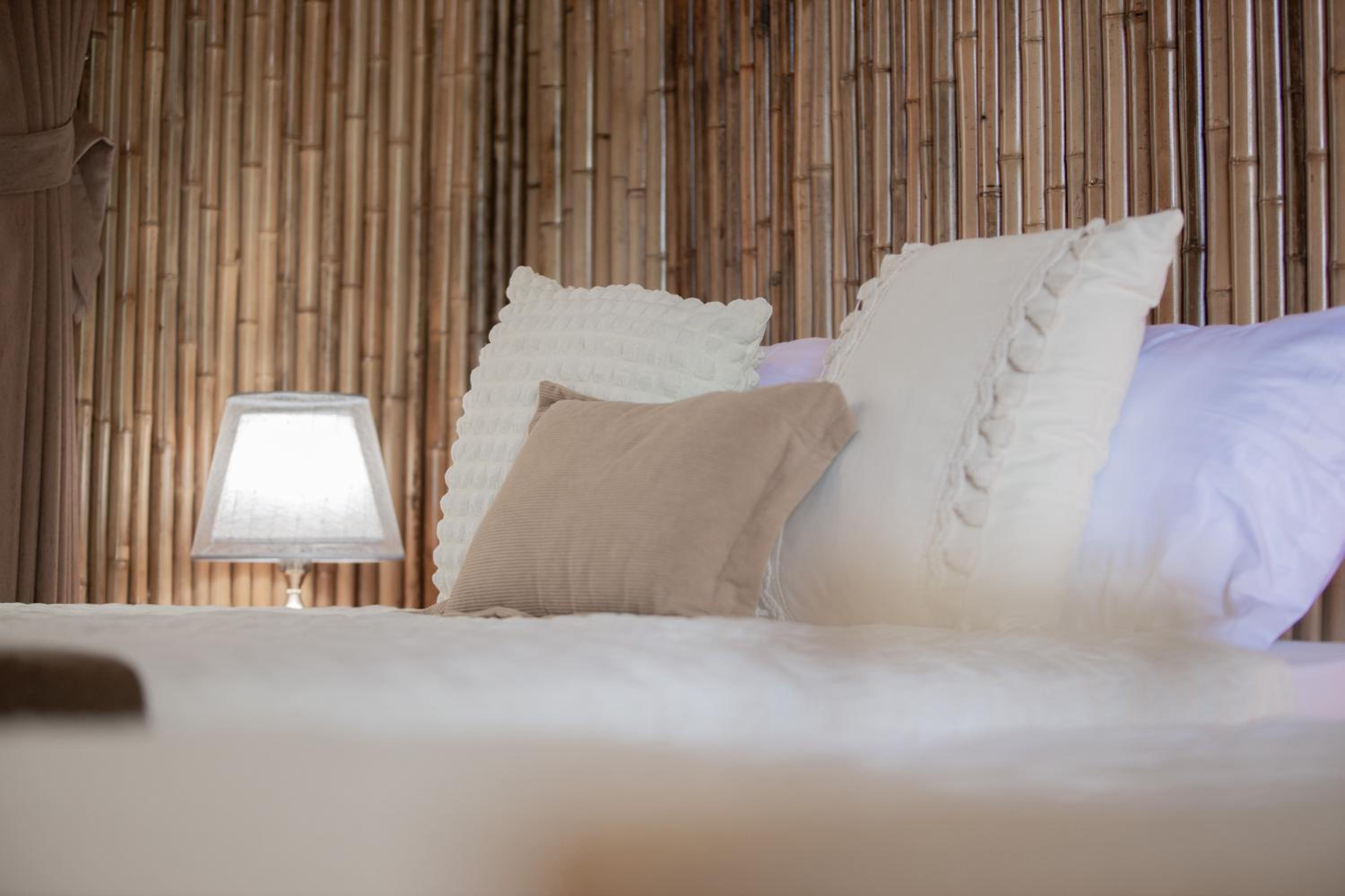 Triple Room - Photo 11