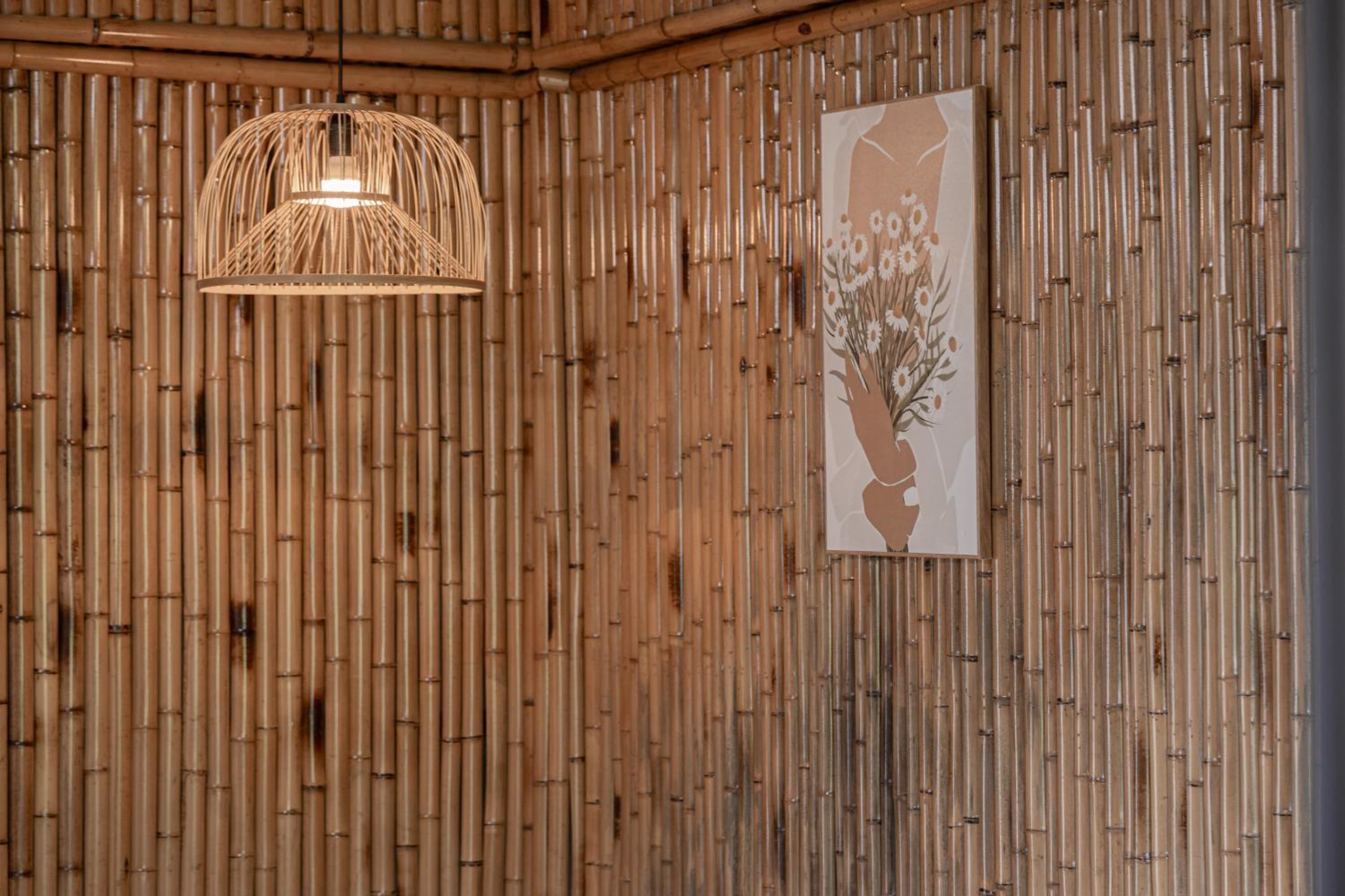 Family Room - Photo 2