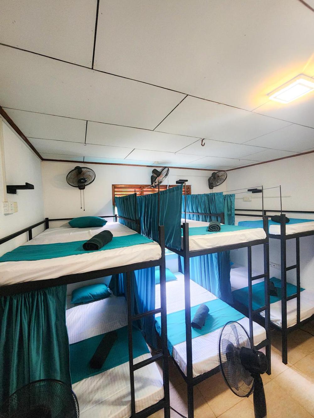 Bed in 6-Bed Female Dormitory Room photo 2