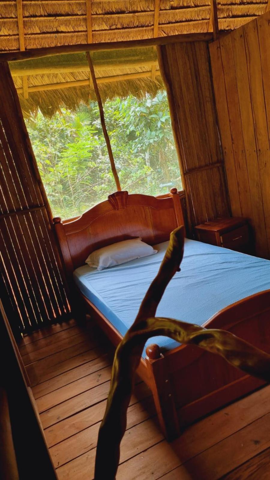 Standard Double Room with Shared Bathroom photo 1