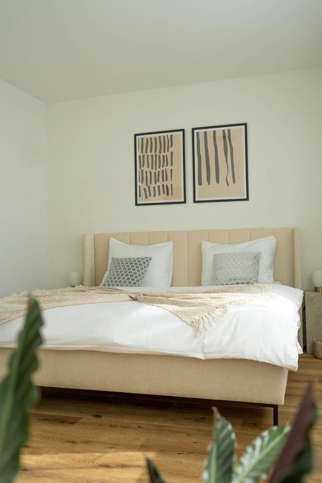 Superior Queen Room photo 3