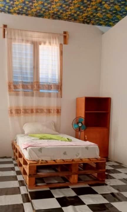 Single Bed In Mixed Dormitory Room photo 1