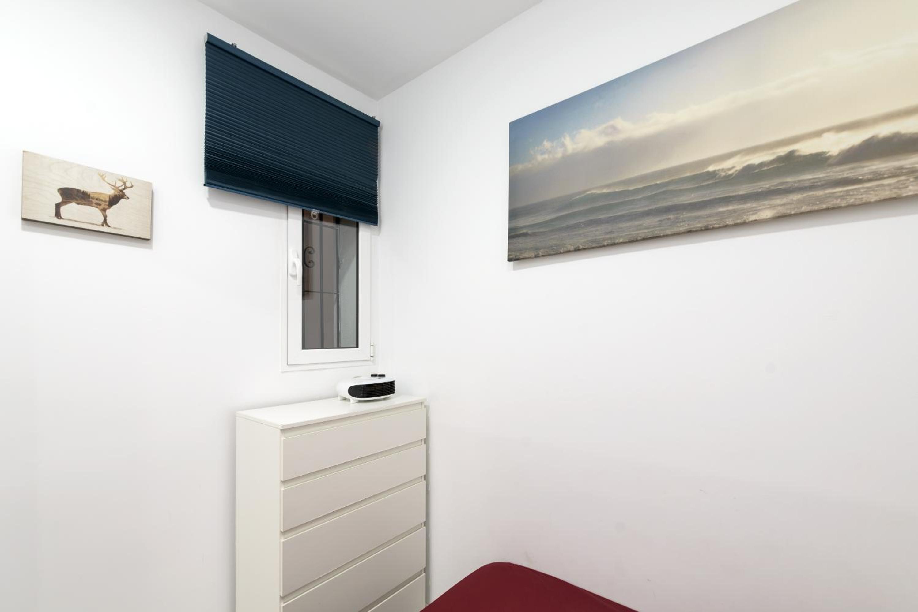 One-Bedroom Apartment photo 3