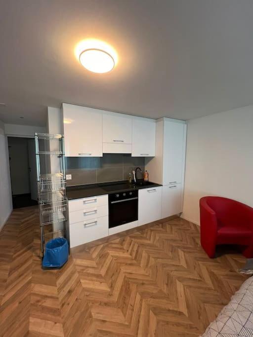 One-Bedroom Apartment photo 3