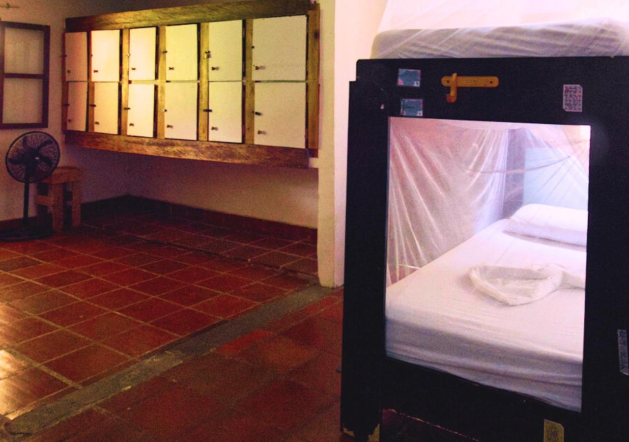 Bunk Bed in Mixed Dormitory Room