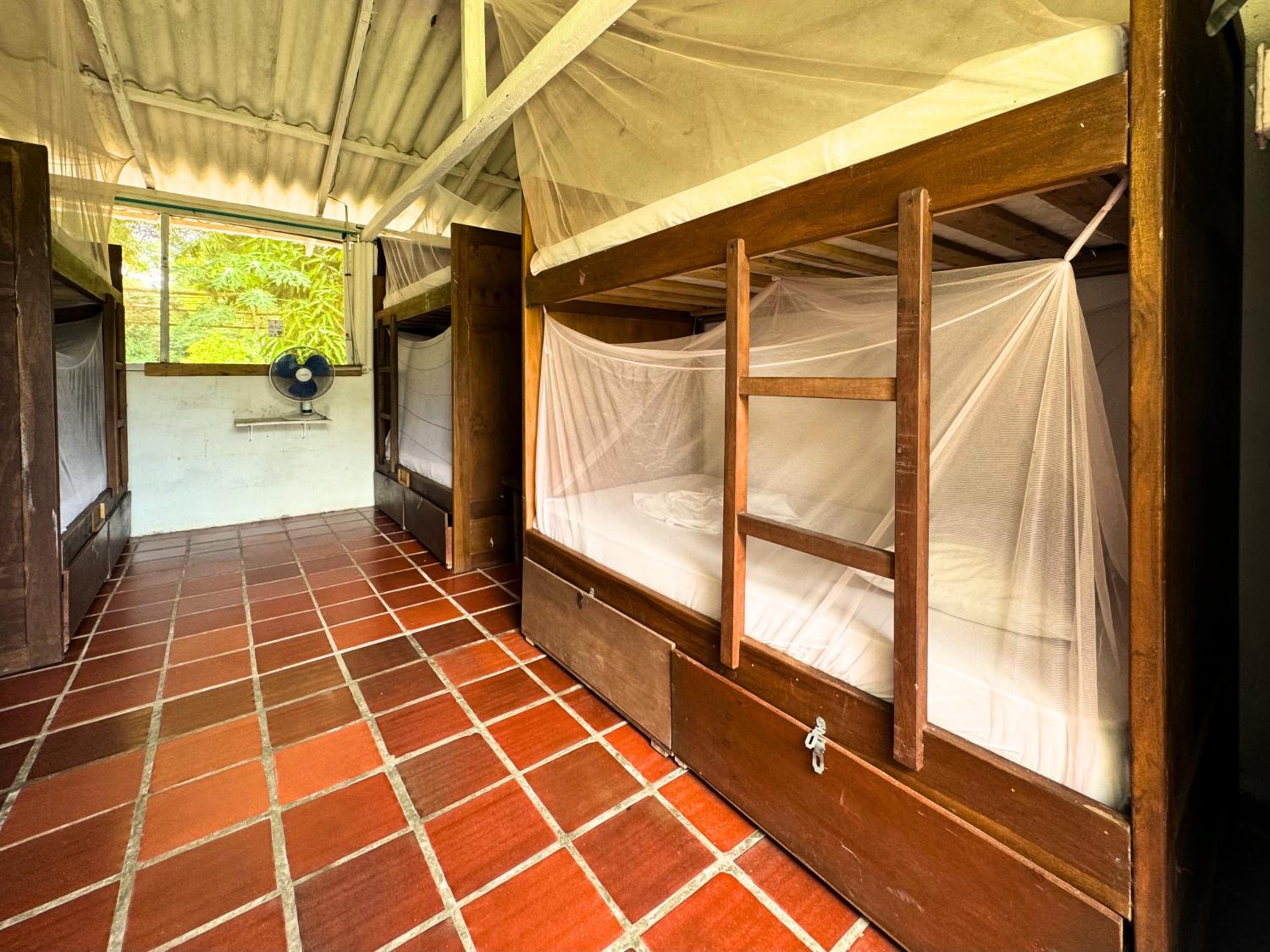 Single Bed in Mixed Dormitory Room photo 3