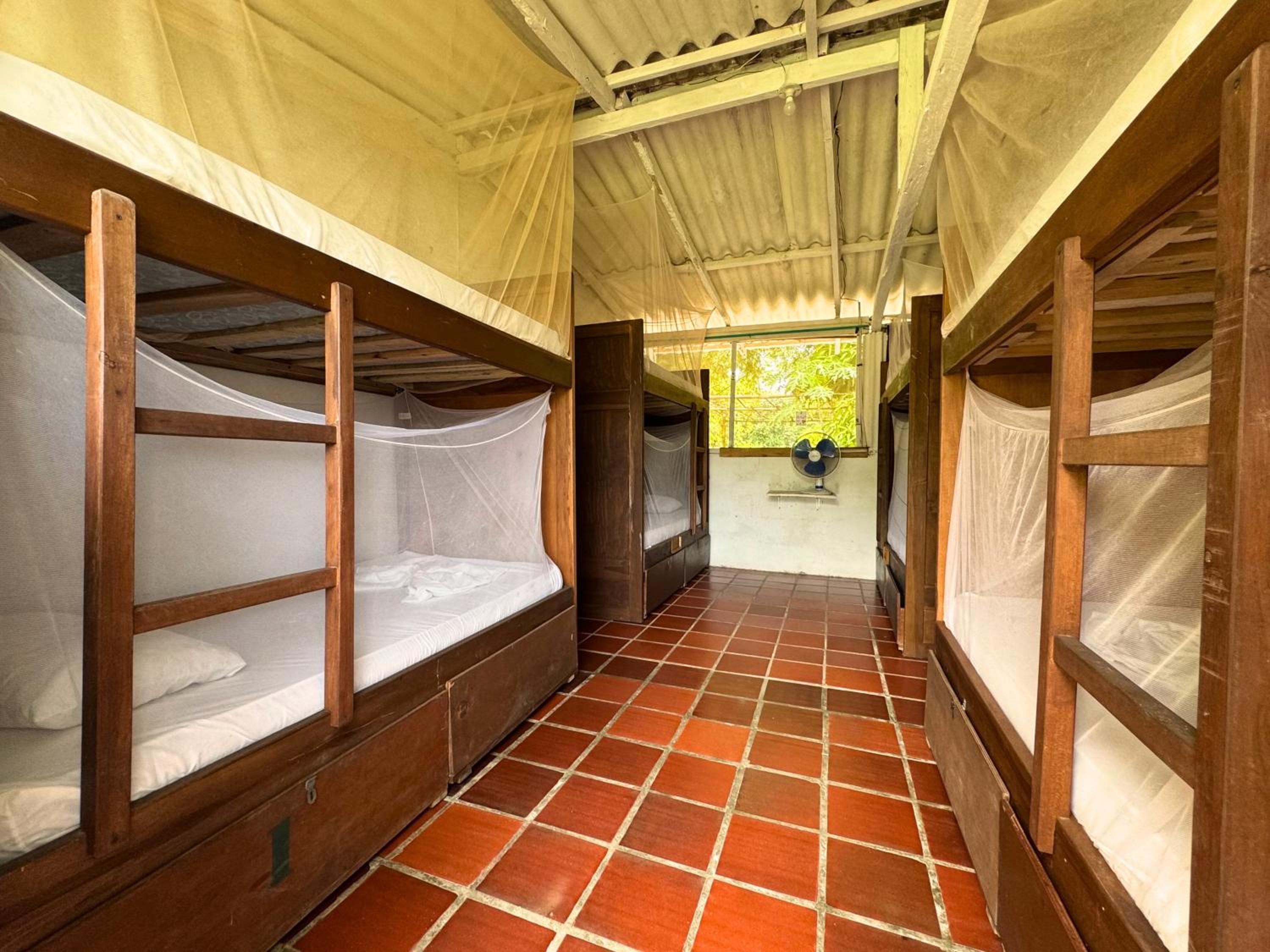 Single Bed in Mixed Dormitory Room photo 1