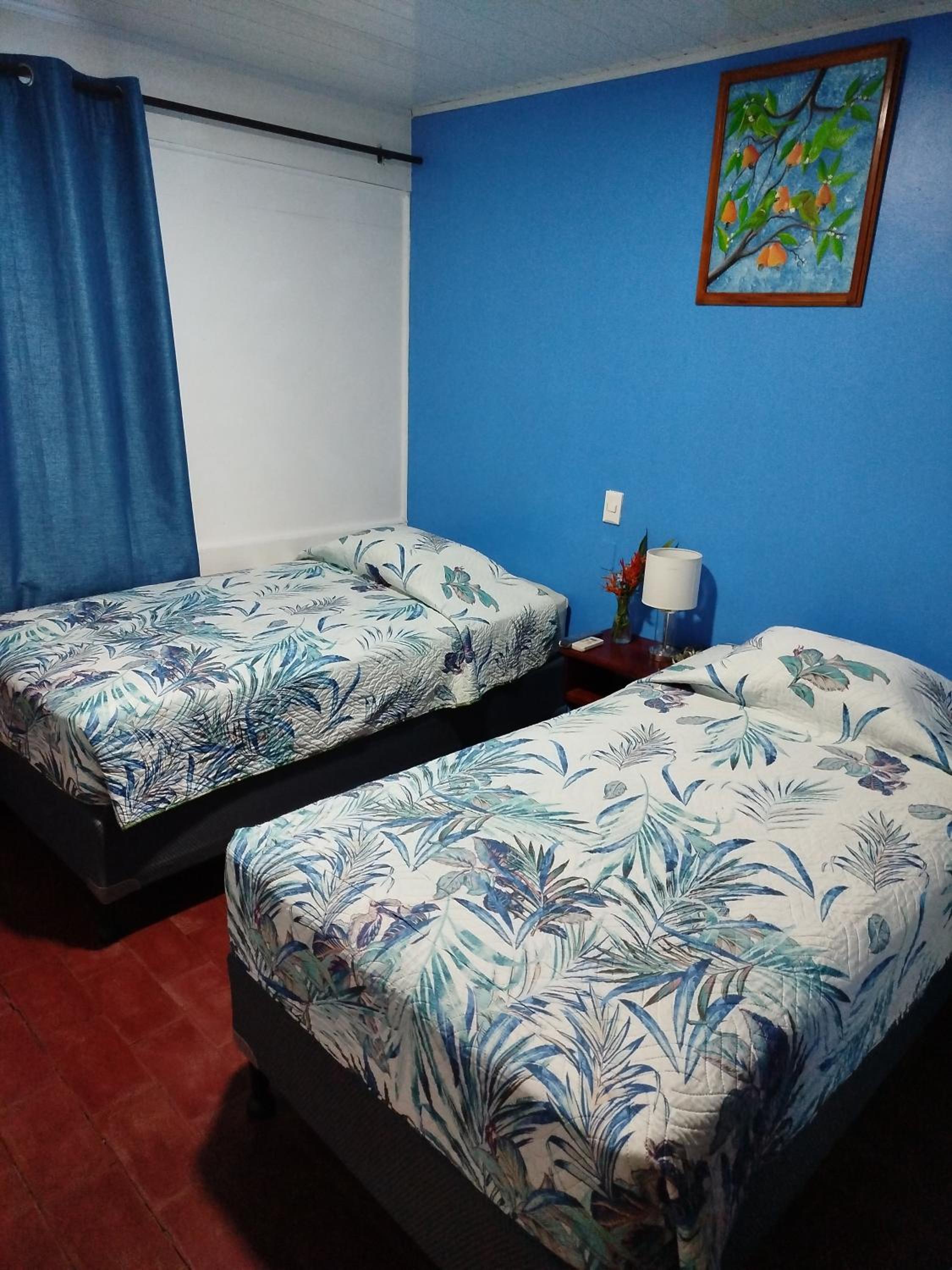 Standard Twin Room photo 3