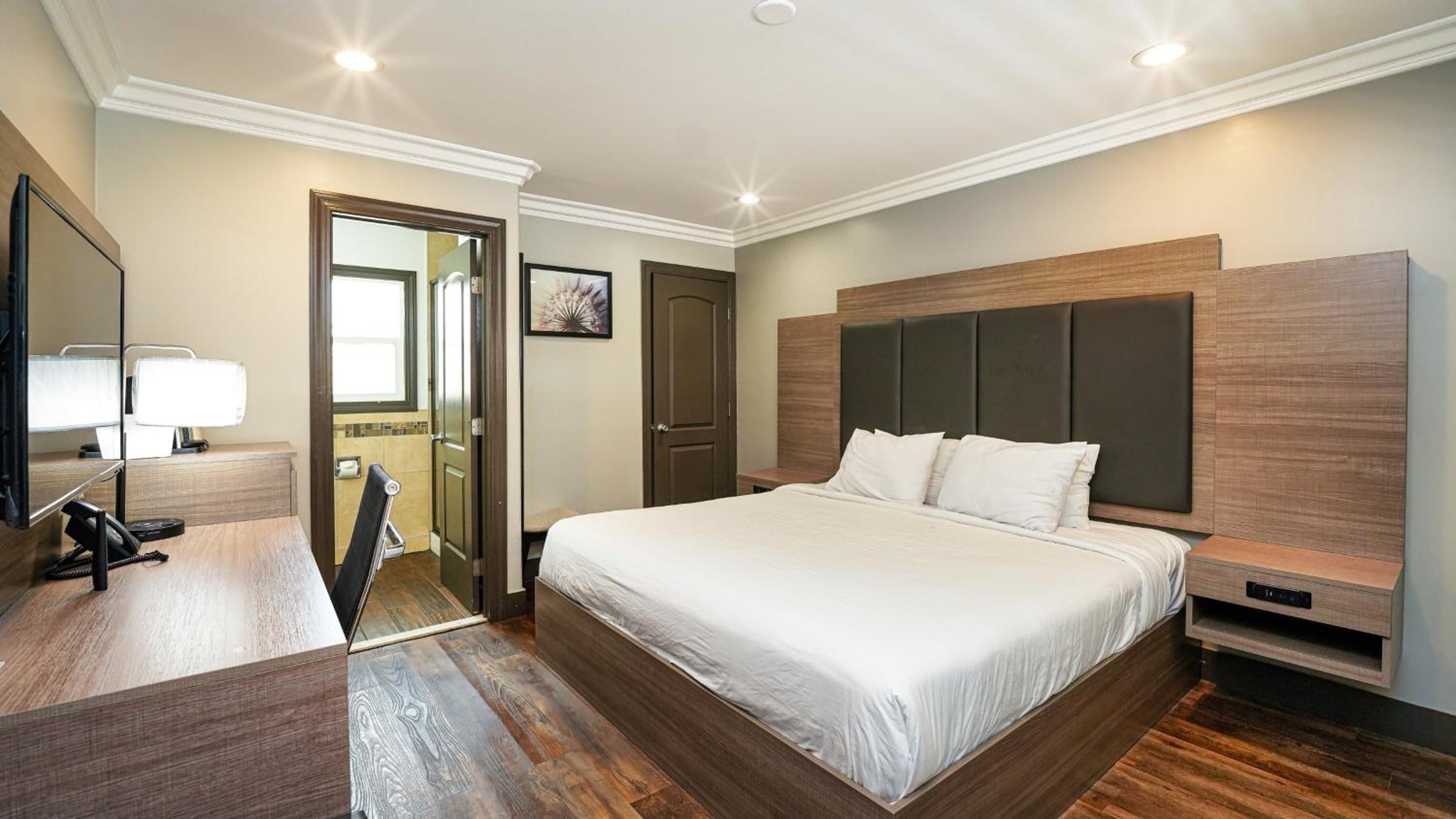 Queen Room - Disability Access - Photo 11