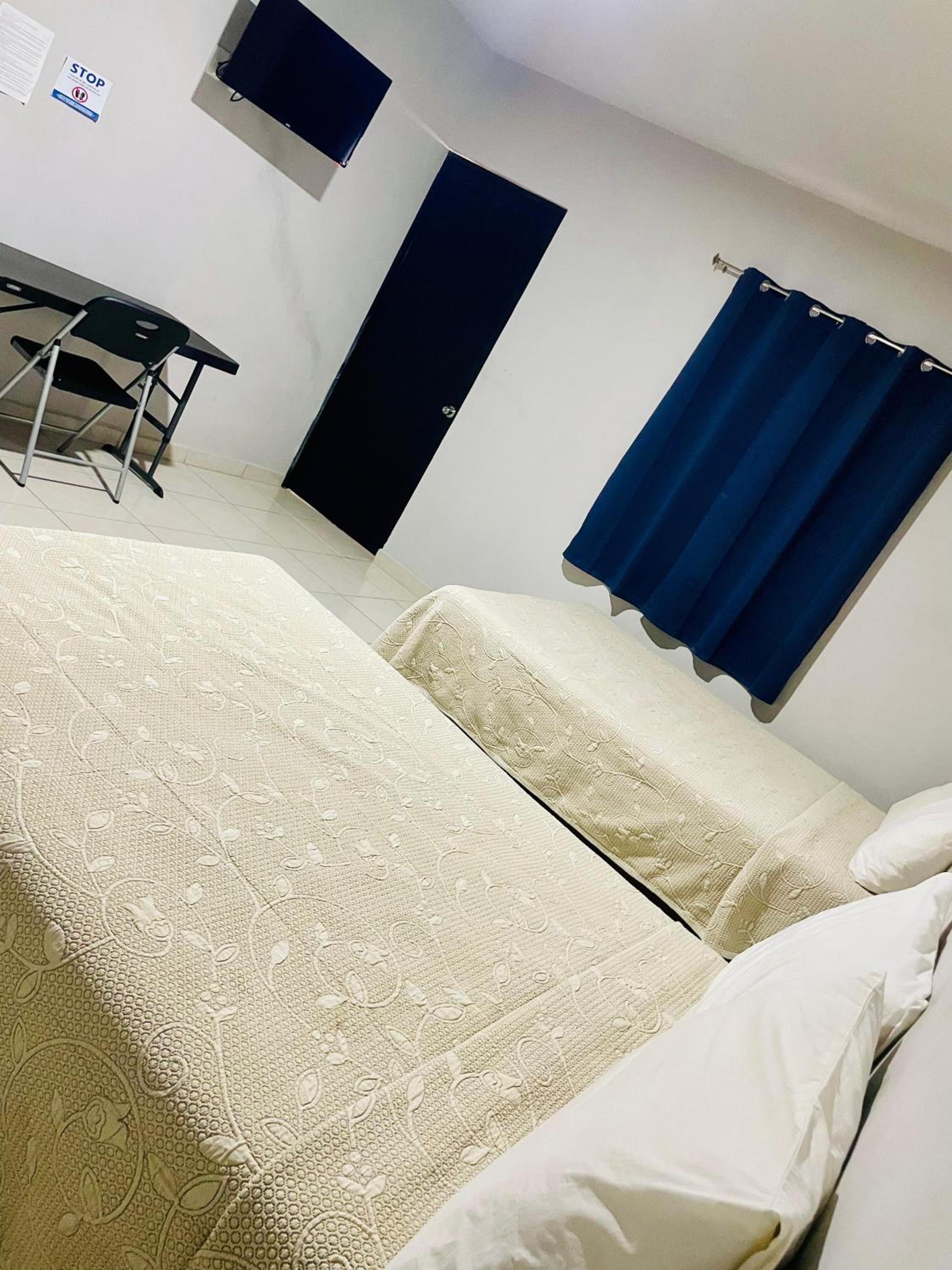 Twin Room photo 1