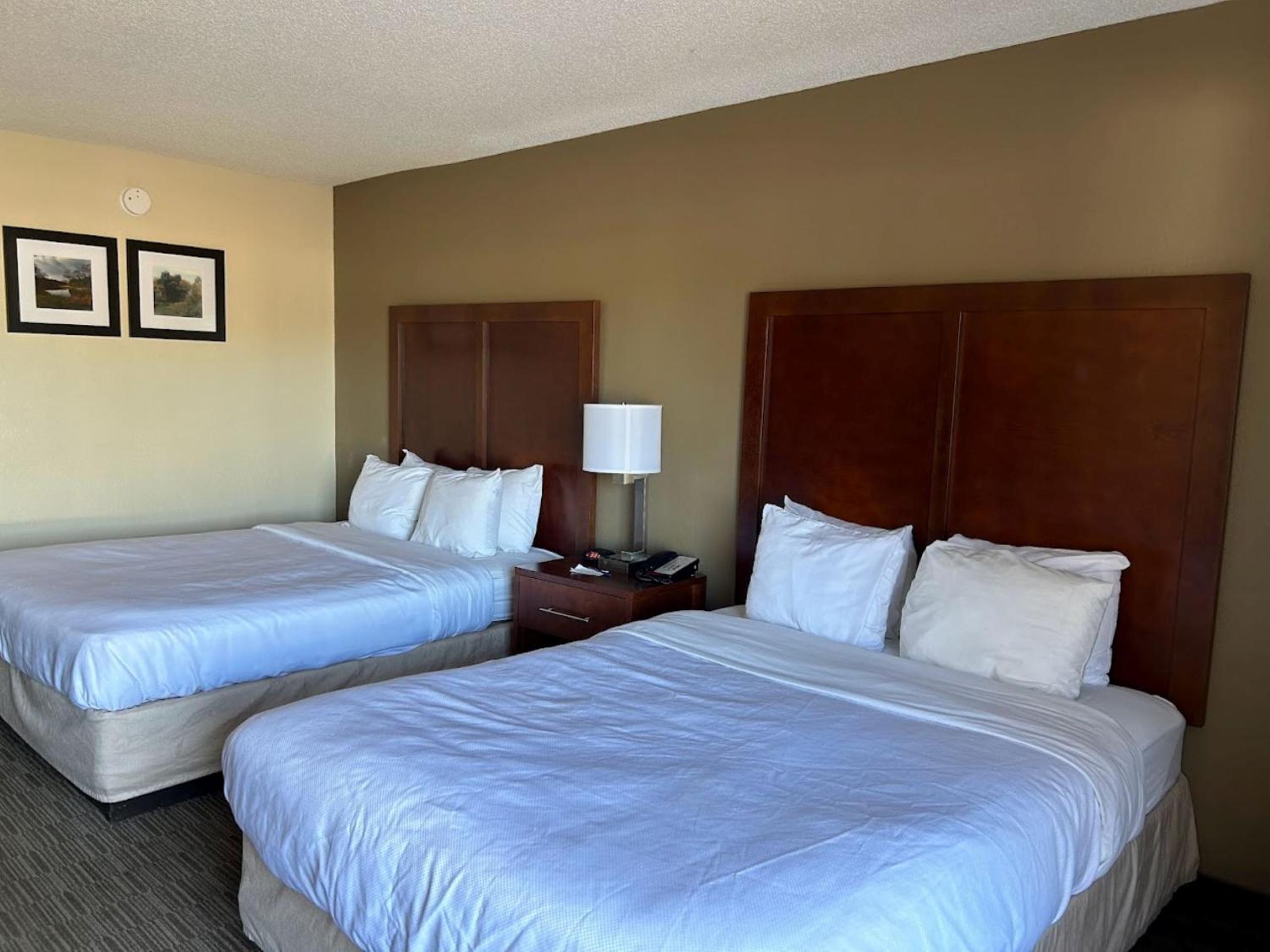 Room with Two Queen Beds - Accessible/Pet Friendly/Non-Smoking - Photo 1