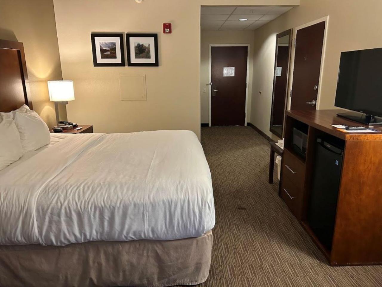 King Suite with Transfer Shower - Accessible/Pet Friendly/Non-Smoking - Photo 4
