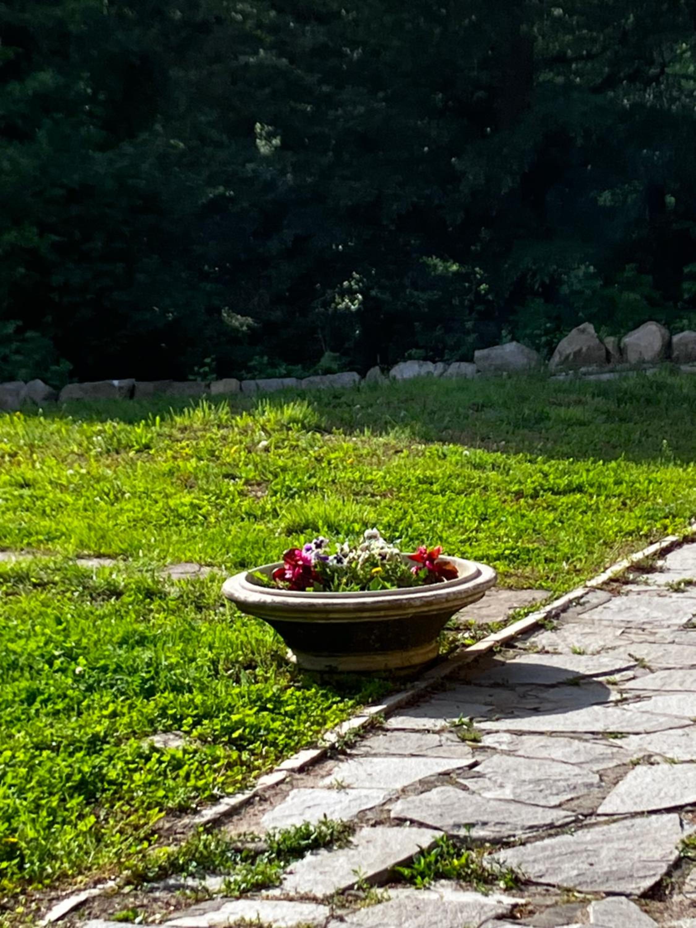 Superior Villa - Photo 119