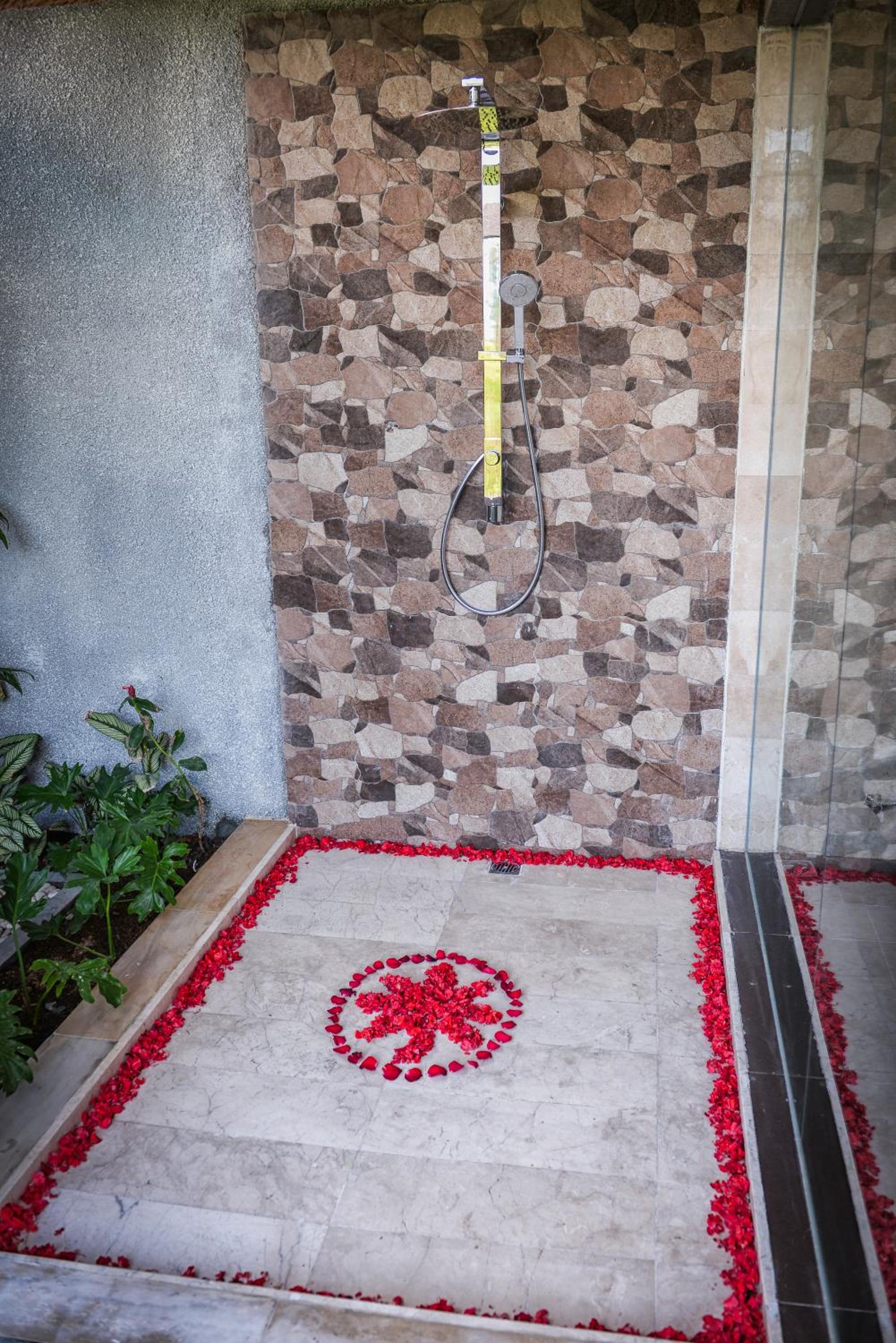 Deluxe Two-Bedroom Villa with Private Pool photo 2