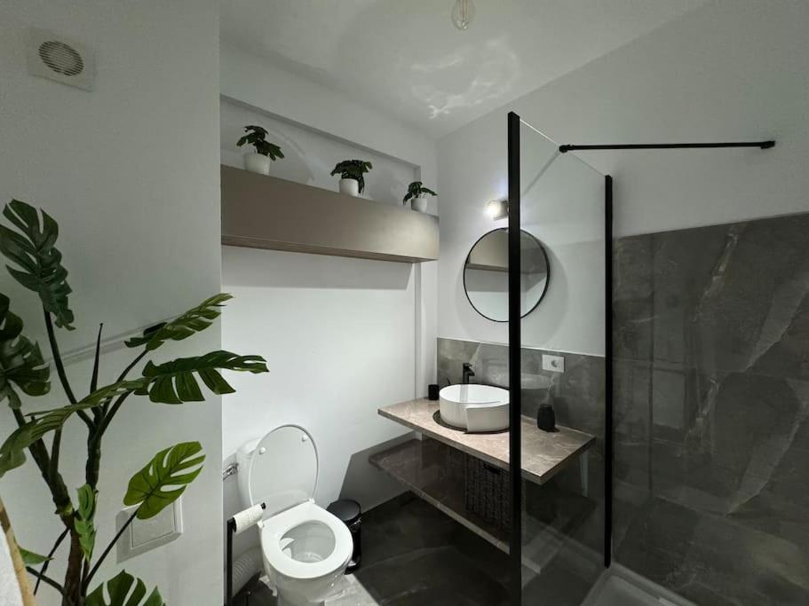 One-Bedroom Apartment photo 3